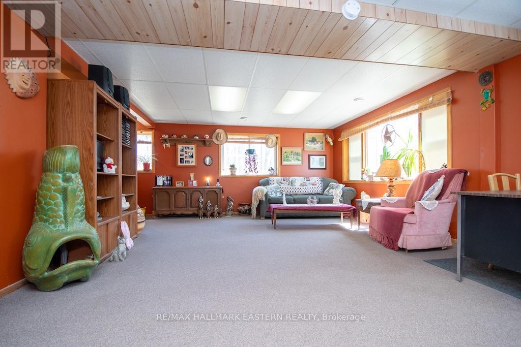 4018 County Road 36, Trent Lakes, Ontario  K0L 1J0 - Photo 4 - X12096864