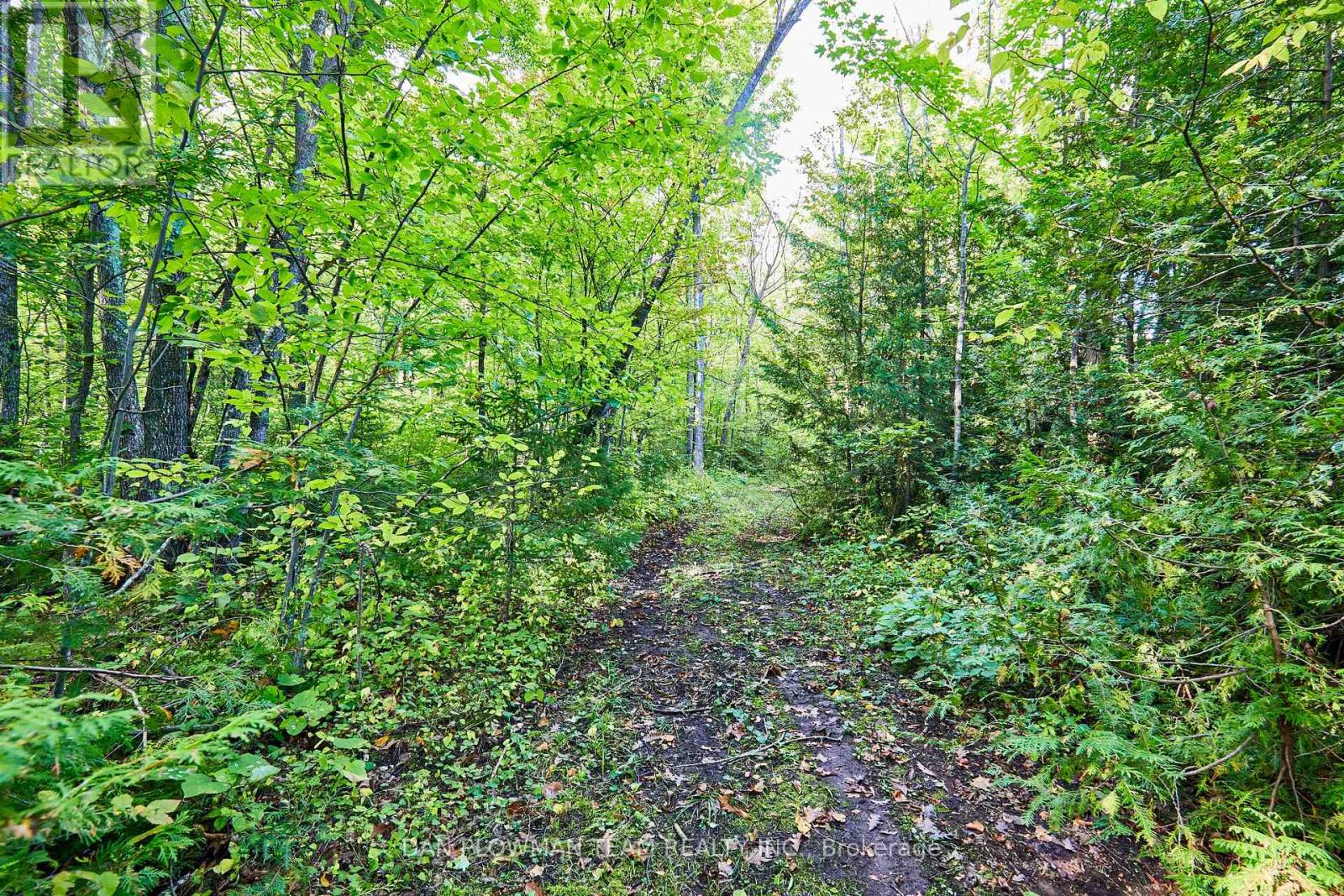 Part 2 County Rd 45, Trent Hills, Ontario  K0L 1Y0 - Photo 6 - X12096928