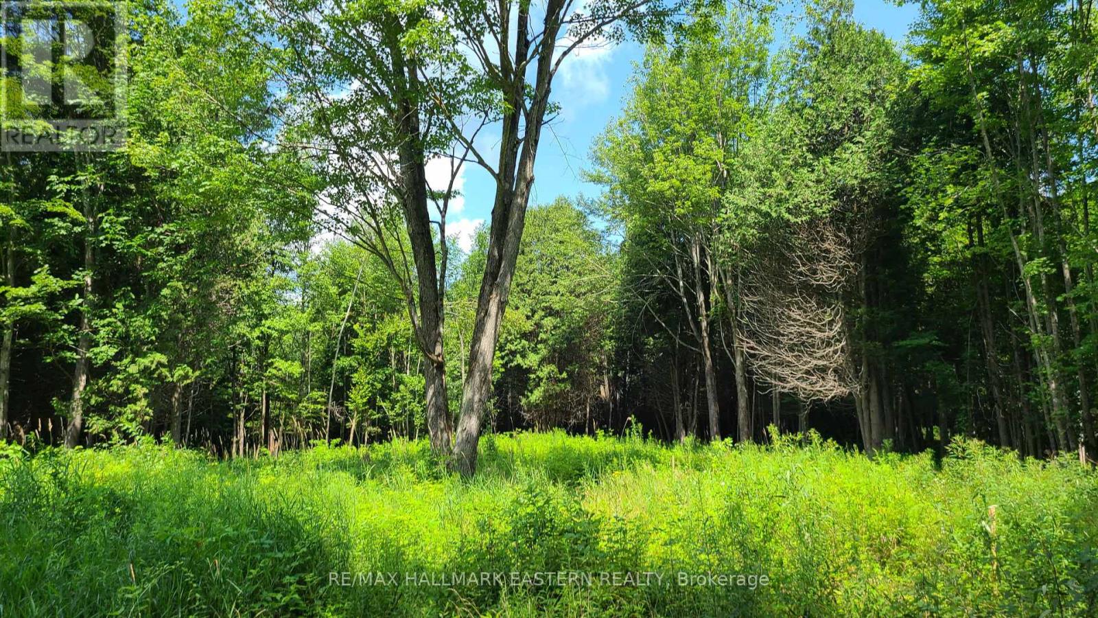 N/a Keating Road N, Havelock-Belmont-Methuen, Ontario  K0L 1Z0 - Photo 3 - X12099660