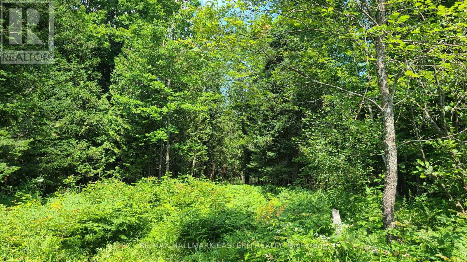 N/a Keating Road N, Havelock-Belmont-Methuen, Ontario  K0L 1Z0 - Photo 4 - X12099660