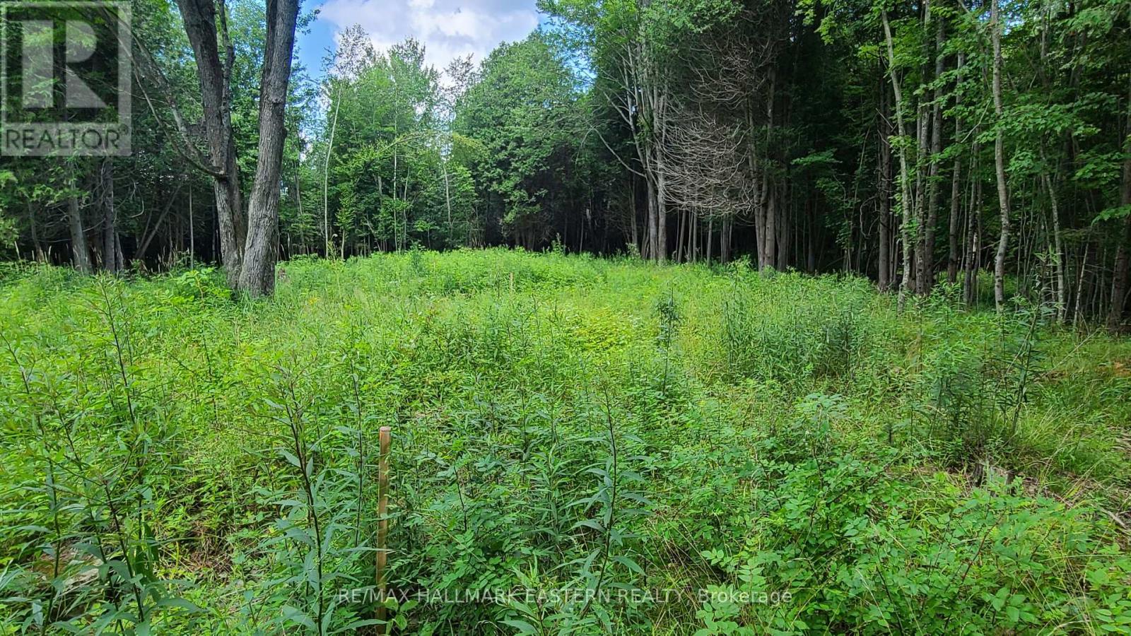 N/a Keating Road N, Havelock-Belmont-Methuen, Ontario  K0L 1Z0 - Photo 5 - X12099660