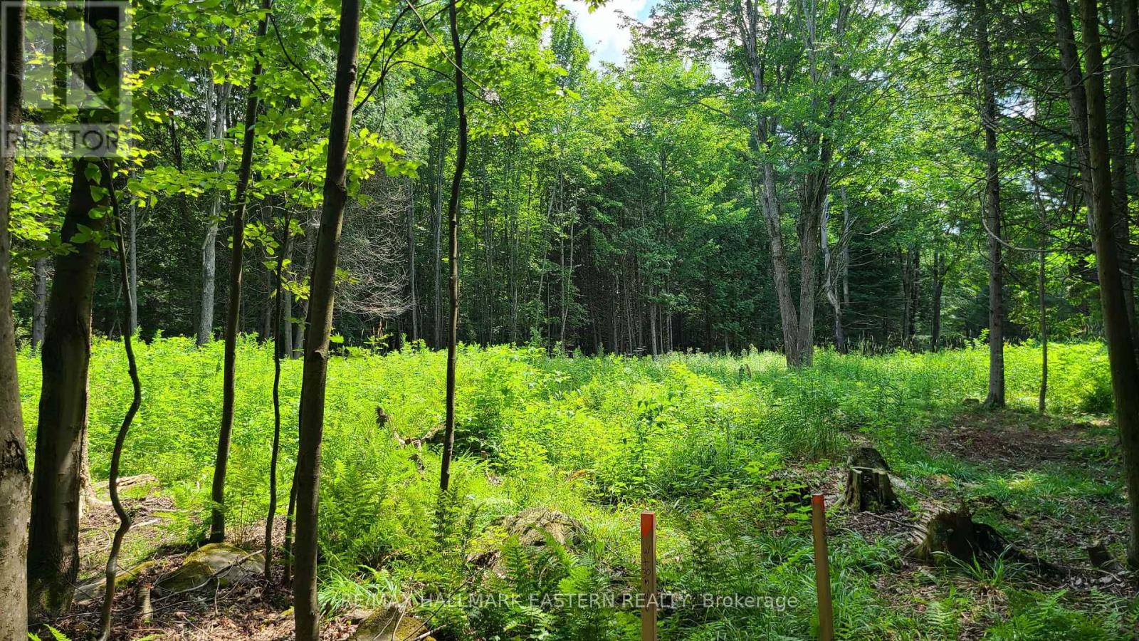 N/a Keating Road N, Havelock-Belmont-Methuen, Ontario  K0L 1Z0 - Photo 8 - X12099660