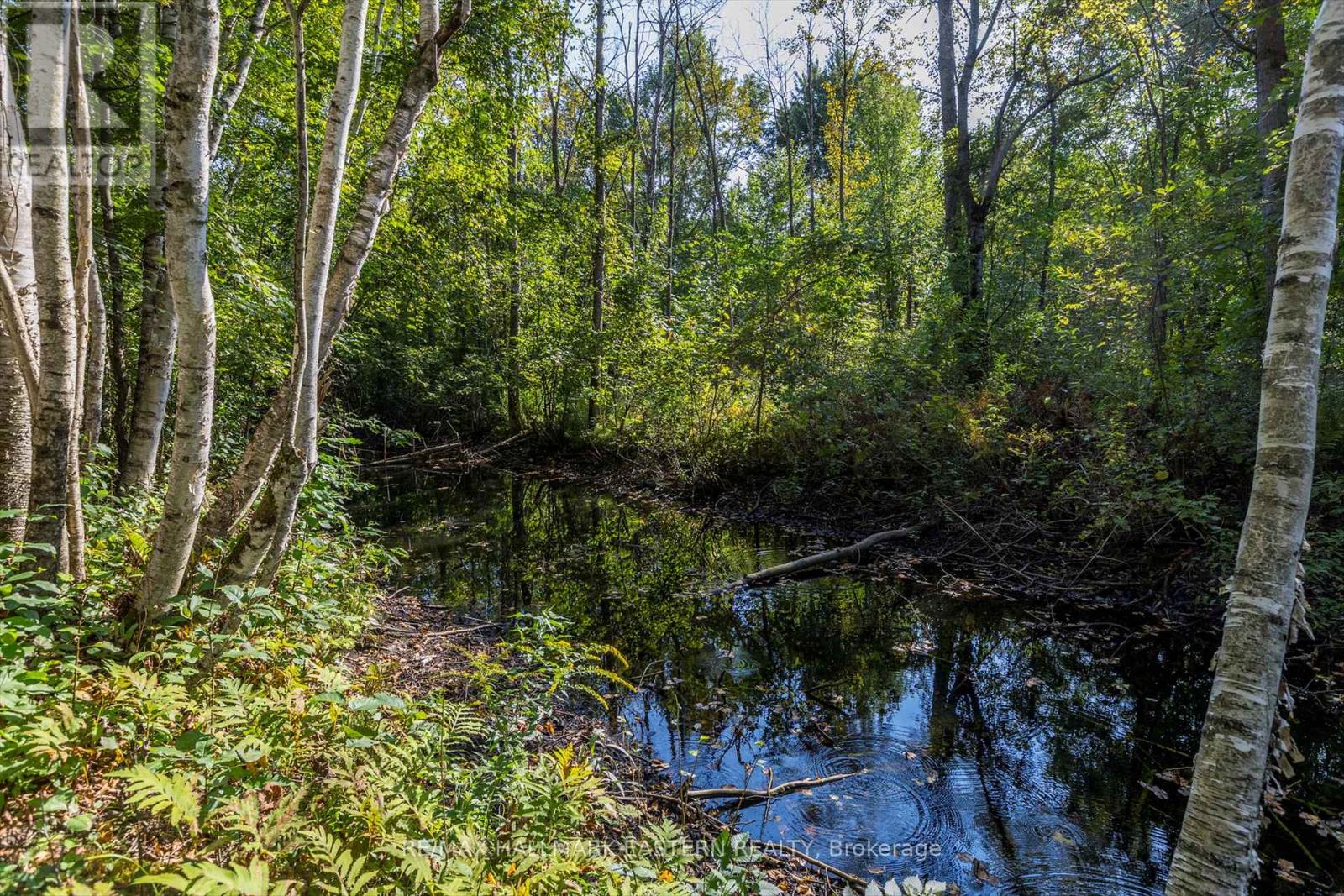 Lot 13 Trent River Road, Trent Hills, Ontario  K0L 1Z0 - Photo 10 - X12100855