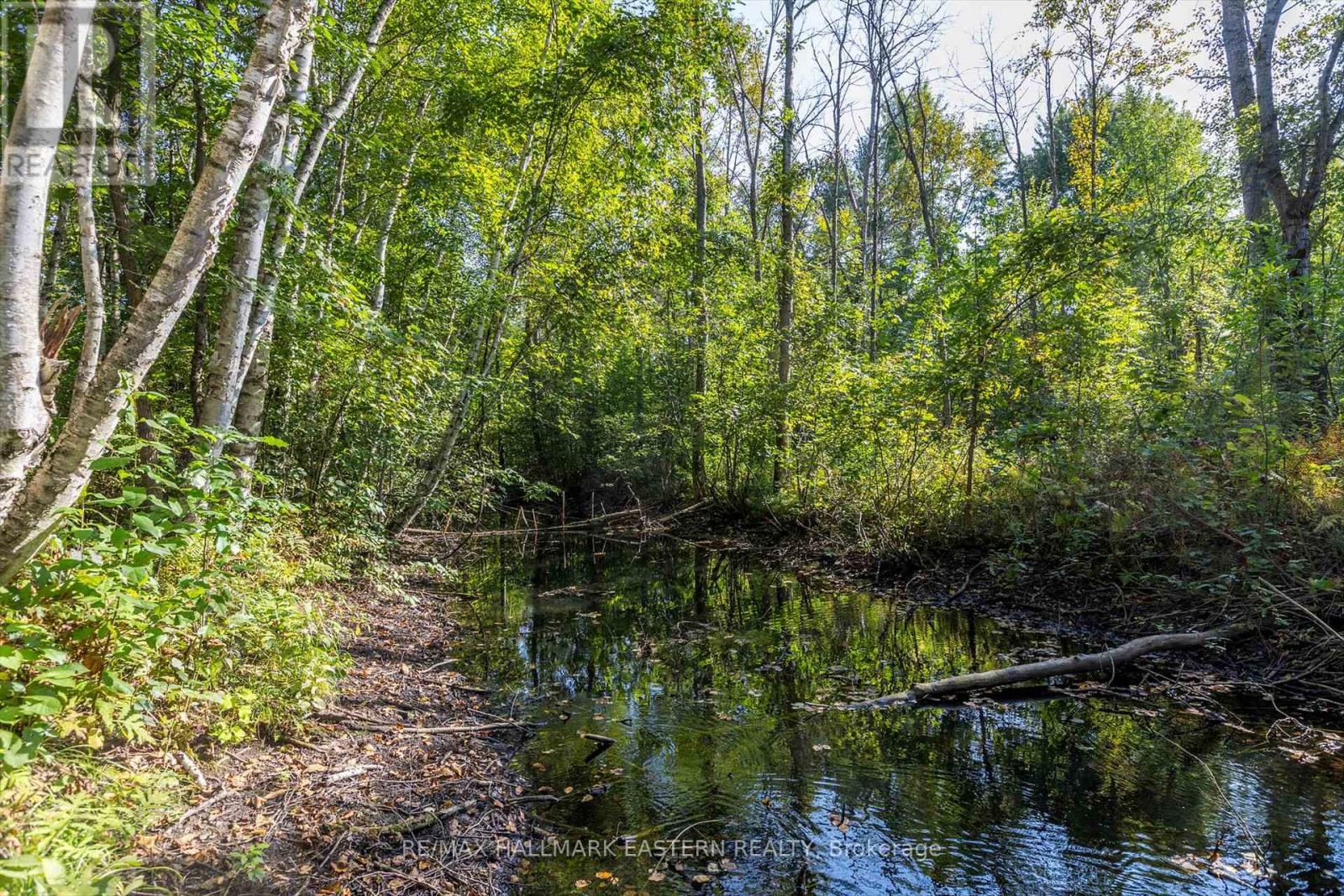 Lot 13 Trent River Road, Trent Hills, Ontario  K0L 1Z0 - Photo 11 - X12100855
