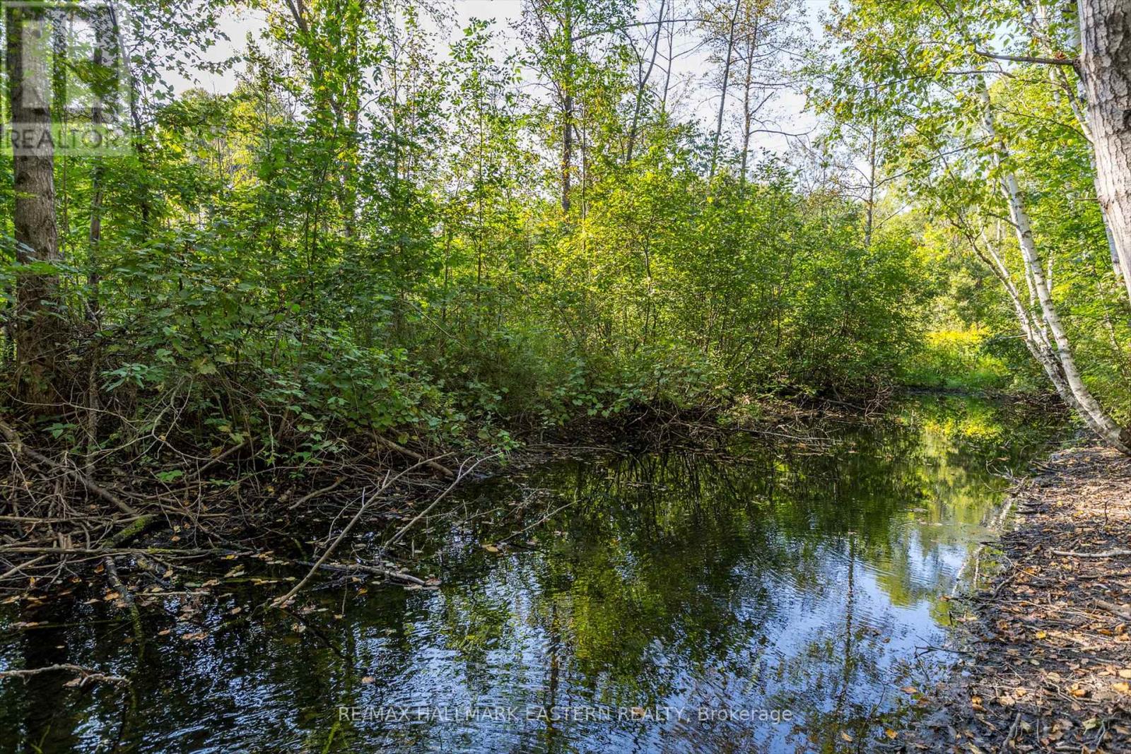 Lot 13 Trent River Road, Trent Hills, Ontario  K0L 1Z0 - Photo 12 - X12100855