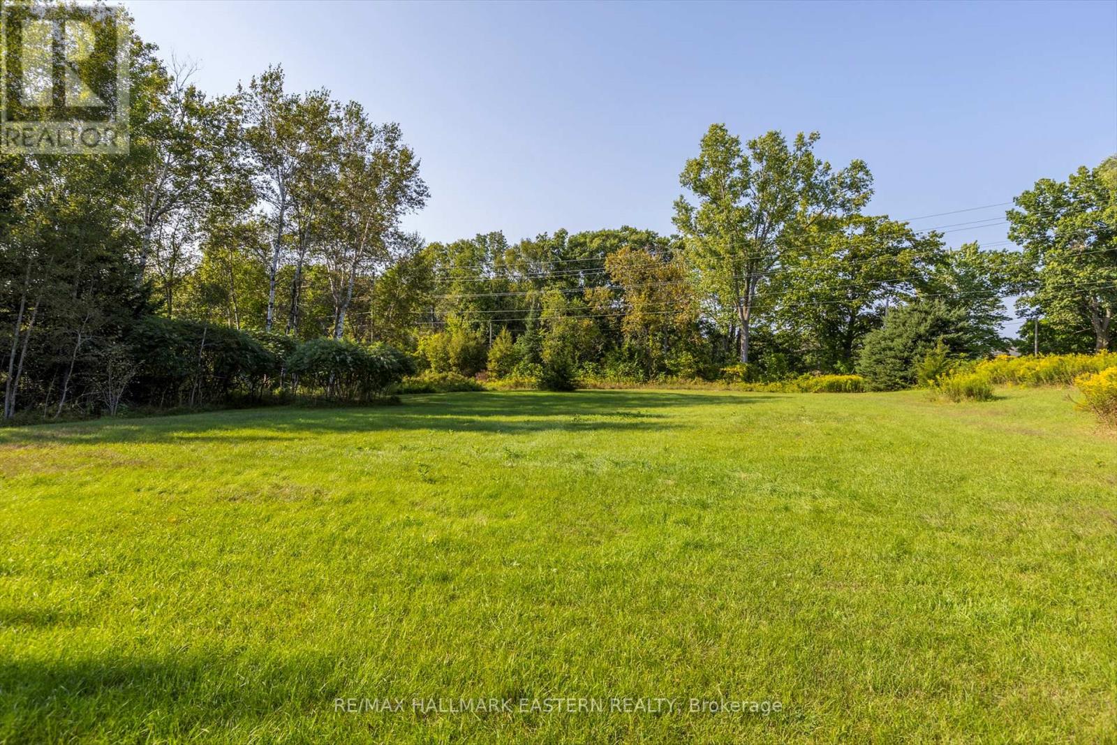 Lot 13 Trent River Road, Trent Hills, Ontario  K0L 1Z0 - Photo 13 - X12100855