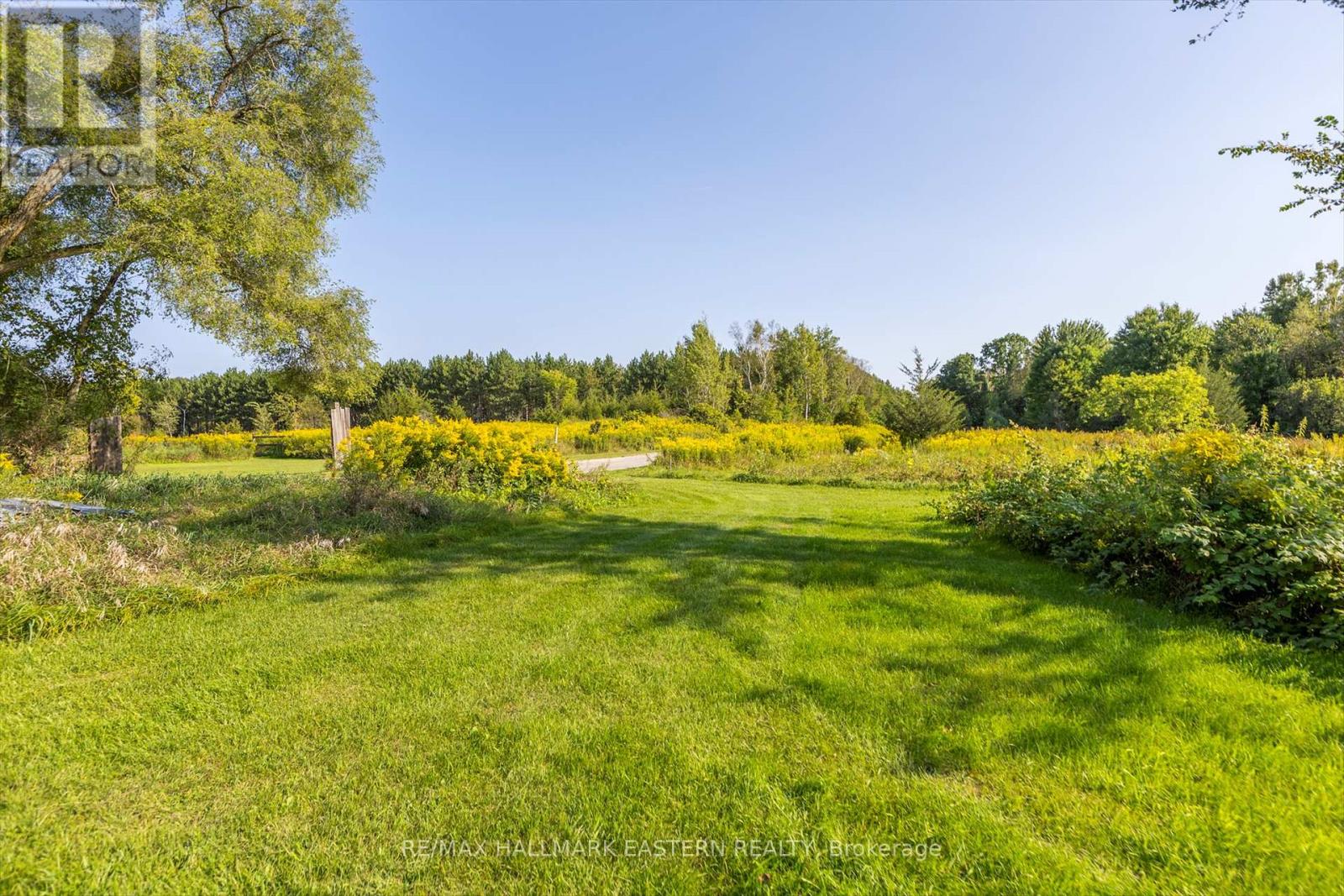 Lot 13 Trent River Road, Trent Hills, Ontario  K0L 1Z0 - Photo 14 - X12100855