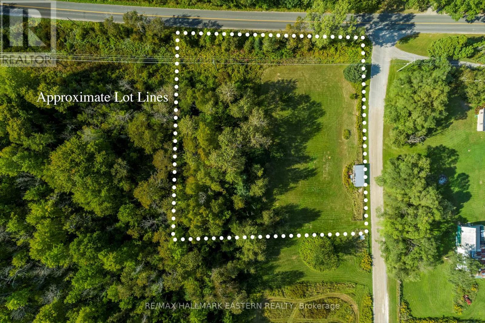 Lot 13 Trent River Road, Trent Hills, Ontario  K0L 1Z0 - Photo 4 - X12100855
