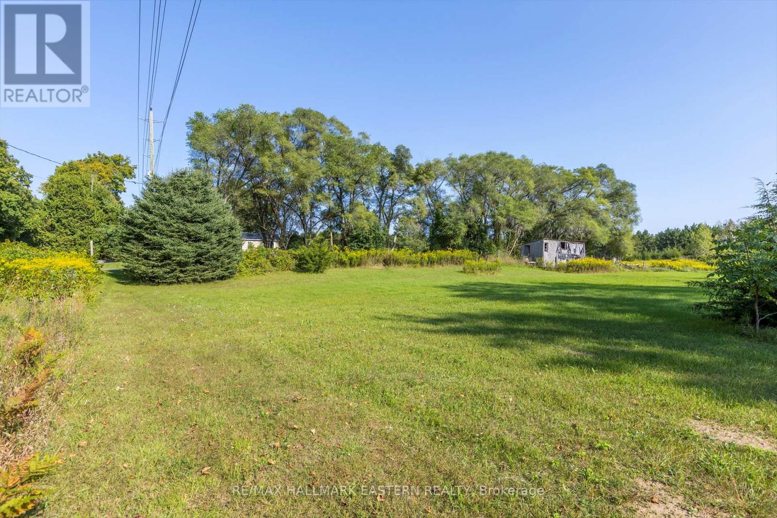 Lot 13 Trent River Road, Trent Hills, Ontario  K0L 1Z0 - Photo 7 - X12100855