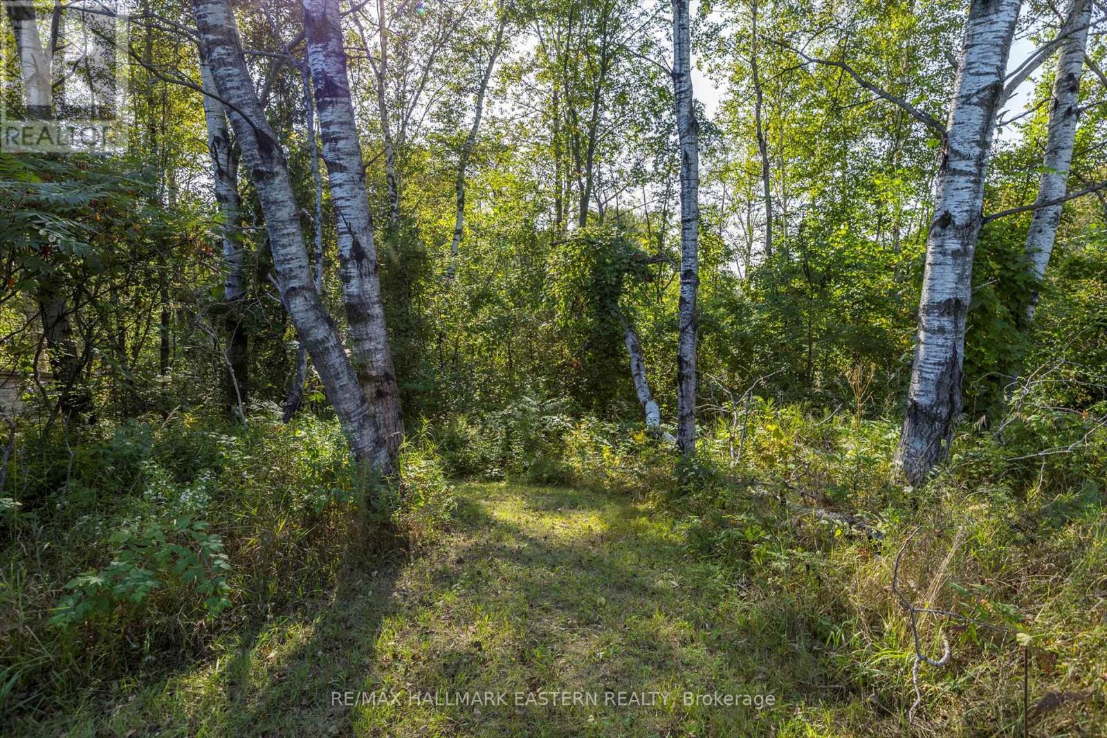 Lot 13 Trent River Road, Trent Hills, Ontario  K0L 1Z0 - Photo 8 - X12100855