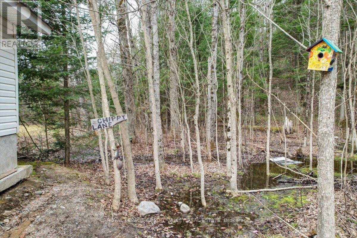 30222 Highway 62, Hastings Highlands (Monteagle Ward), Ontario  K0L 1C0 - Photo 40 - X12102542