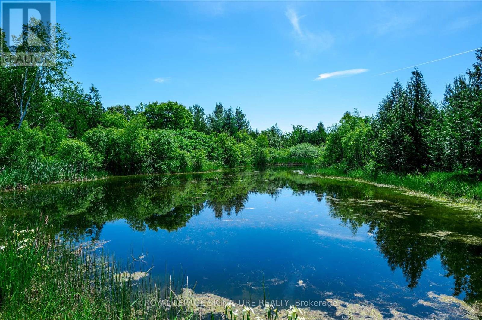 171 Fifth Line, Otonabee-South Monaghan, Ontario  K0L 2H0 - Photo 31 - X12103487