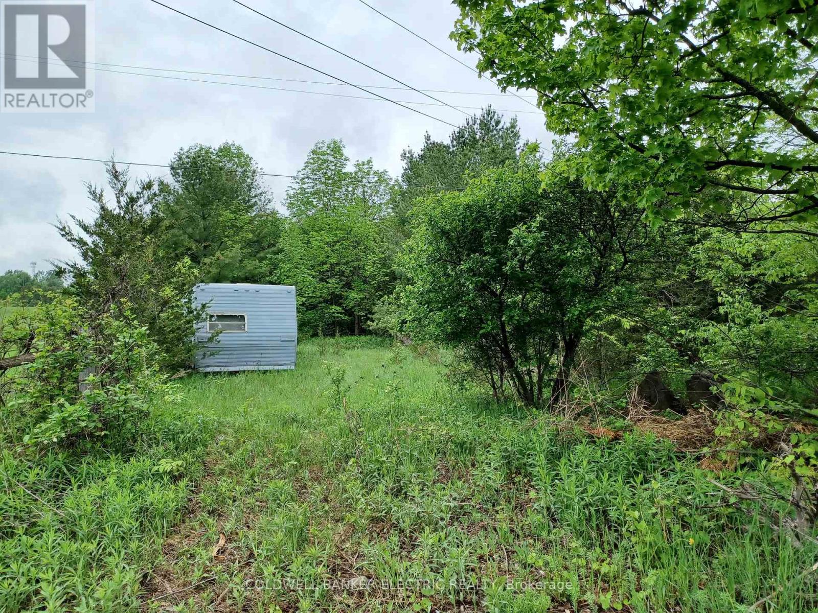 000 County Rd 6, Douro-Dummer, Ontario  K0L 2H0 - Photo 4 - X12104533