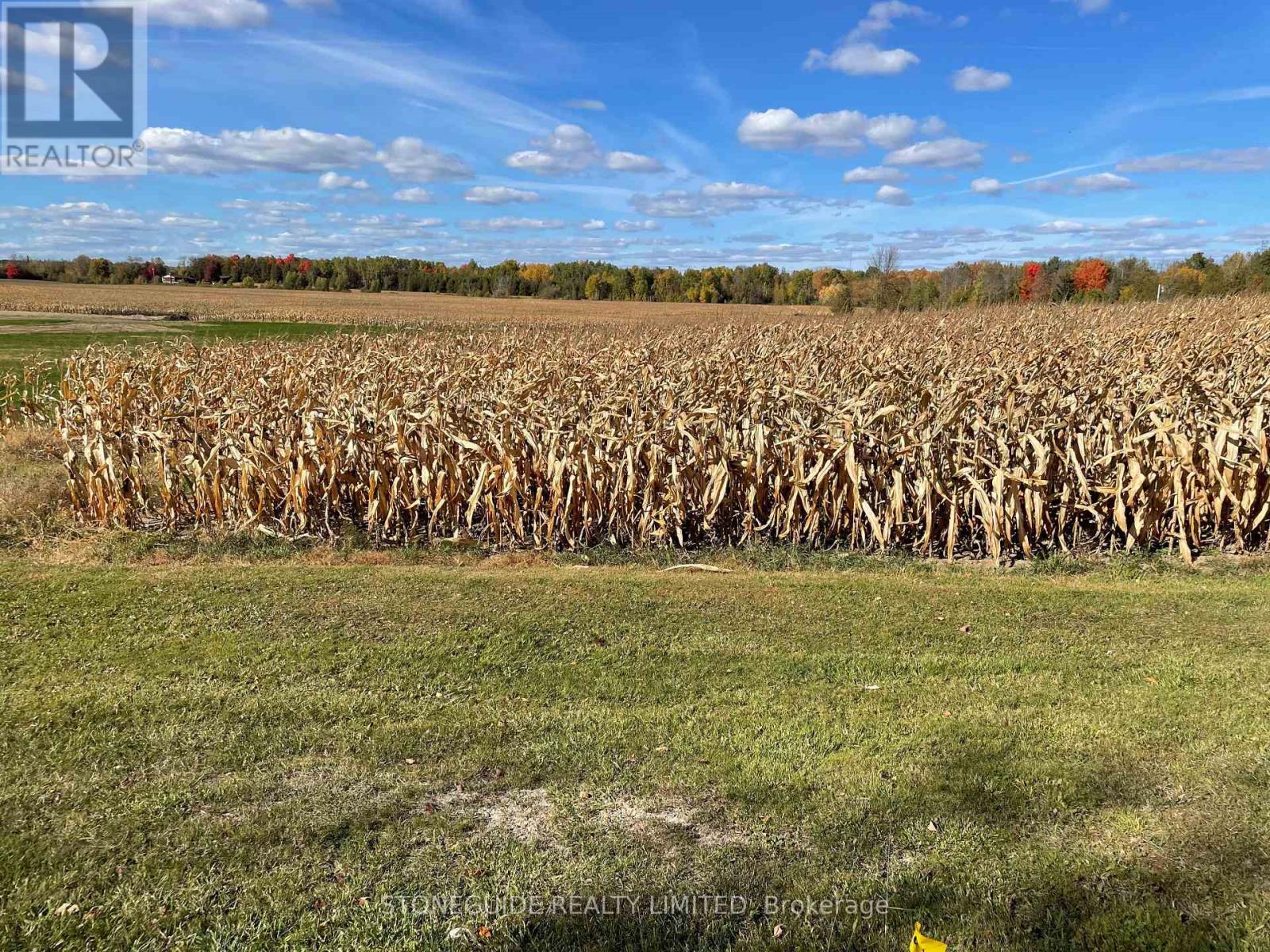 00 Assumption Road, Otonabee-South Monaghan, Ontario  K9J 6X7 - Photo 5 - X12105587