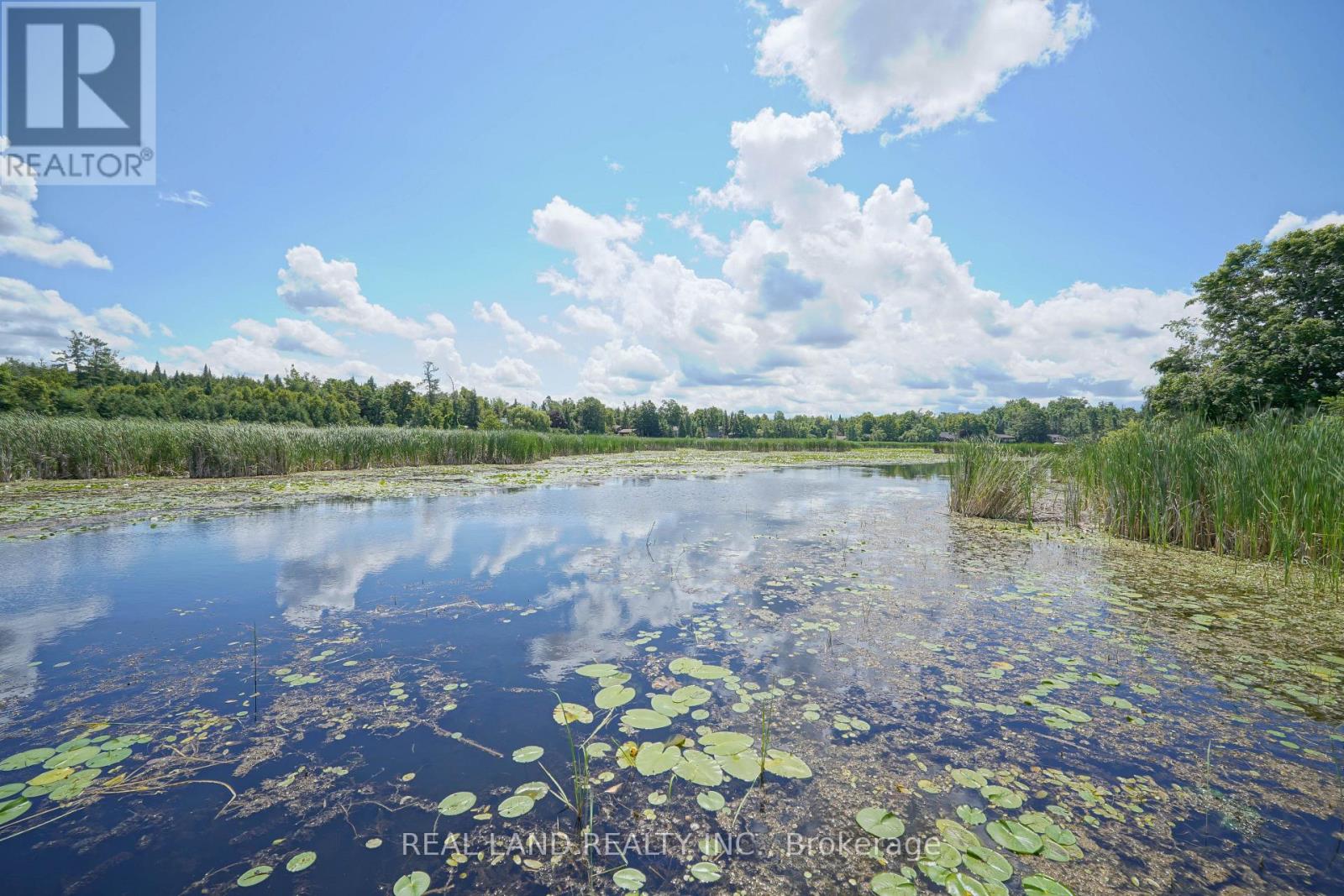 21 Marilyn Crescent, Kawartha Lakes (Emily), Ontario  K0L 1T0 - Photo 46 - X12110889