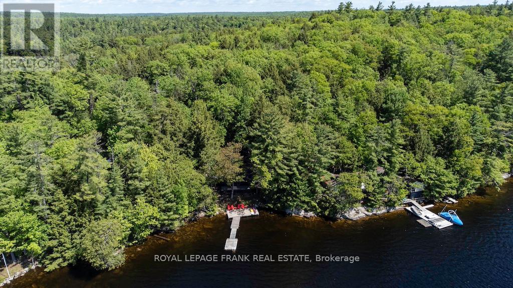 119 Fire Route 242, Trent Lakes, Ontario  K0L 1J0 - Photo 35 - X12112043