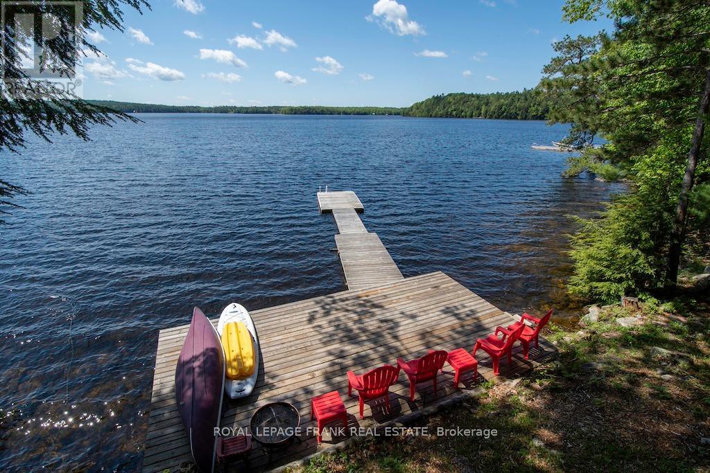 119 Fire Route 242, Trent Lakes, Ontario  K0L 1J0 - Photo 5 - X12112043