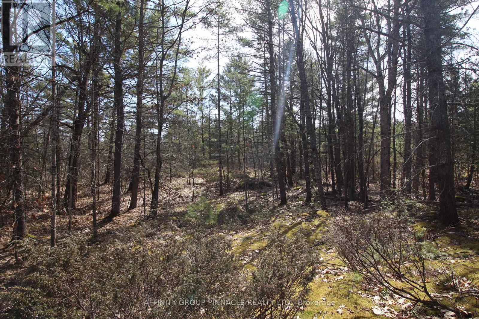 LOT 15 CONCESSION 9, trent lakes, Ontario