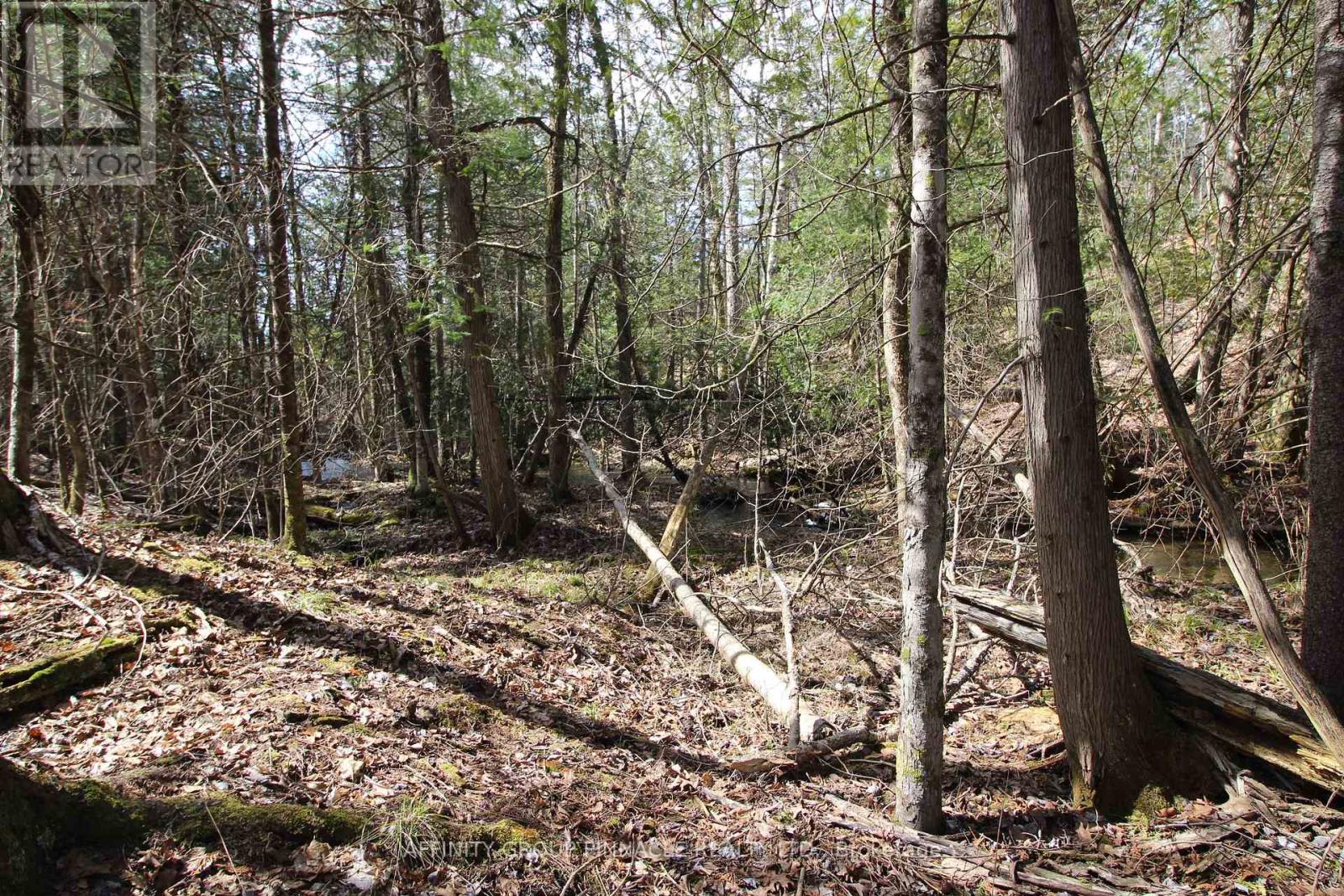Lot 15 Concession 9, Trent Lakes, Ontario  K0L 1J0 - Photo 10 - X12112195