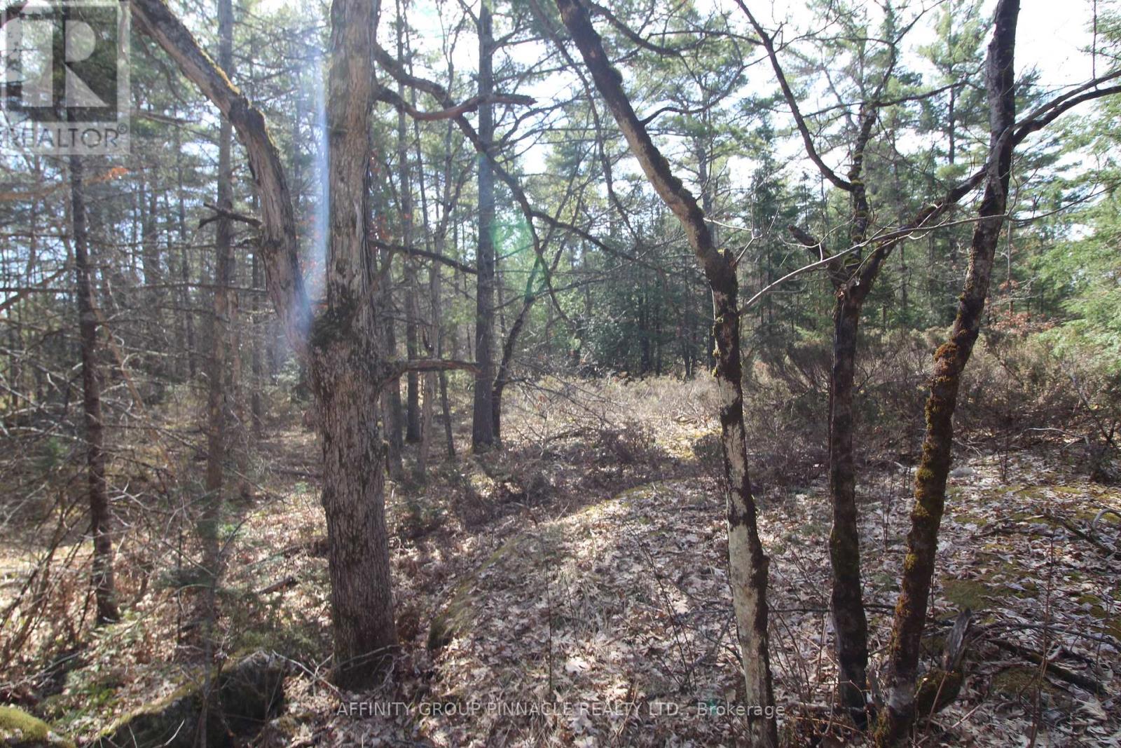 Lot 15 Concession 9, Trent Lakes, Ontario  K0L 1J0 - Photo 11 - X12112195