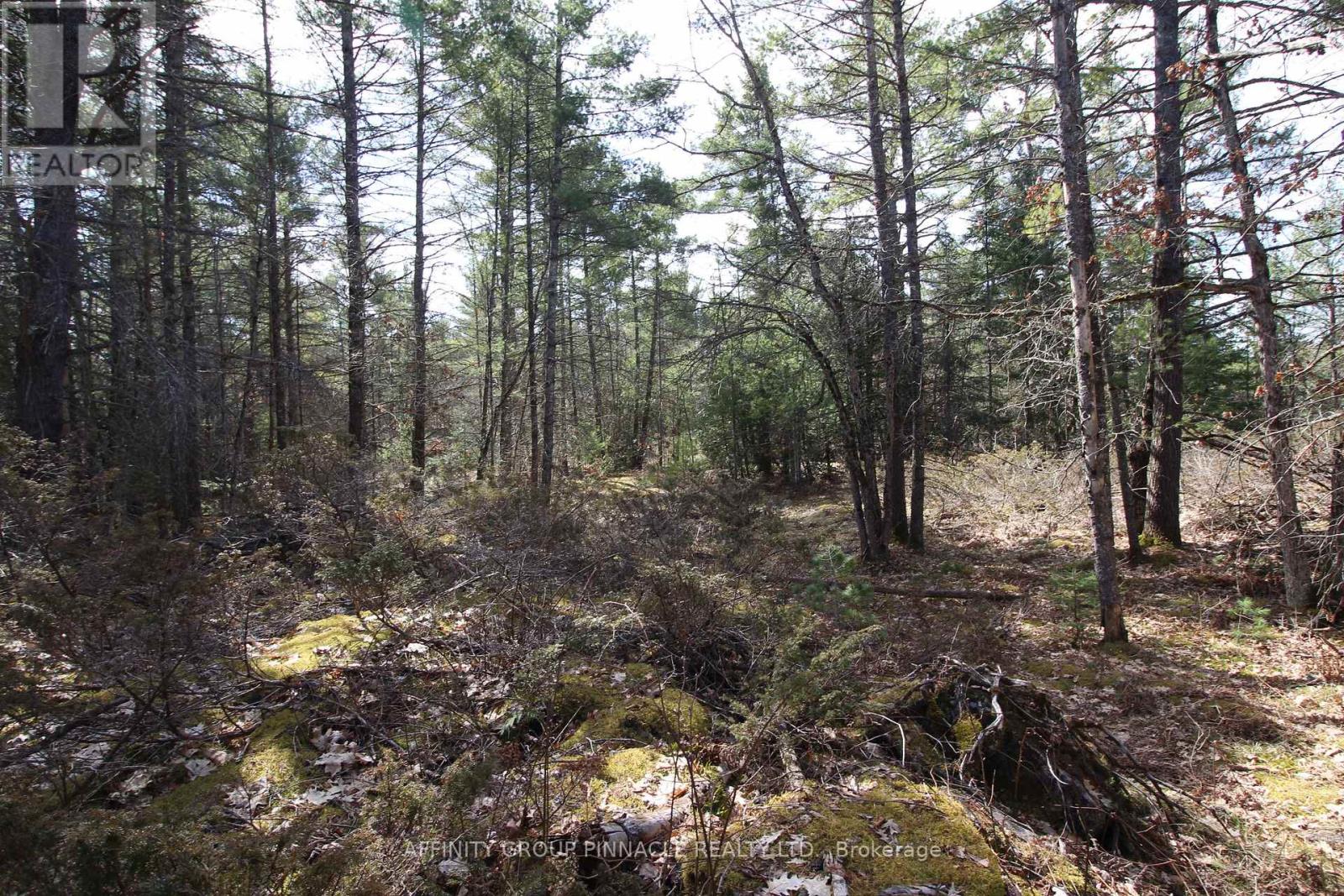 Lot 15 Concession 9, Trent Lakes, Ontario  K0L 1J0 - Photo 12 - X12112195
