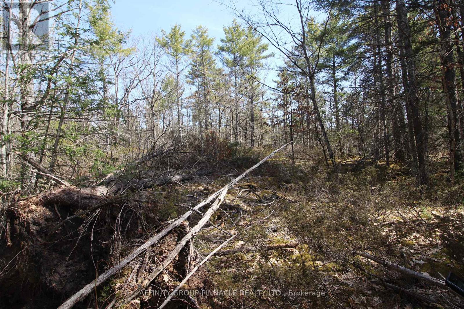 Lot 15 Concession 9, Trent Lakes, Ontario  K0L 1J0 - Photo 13 - X12112195