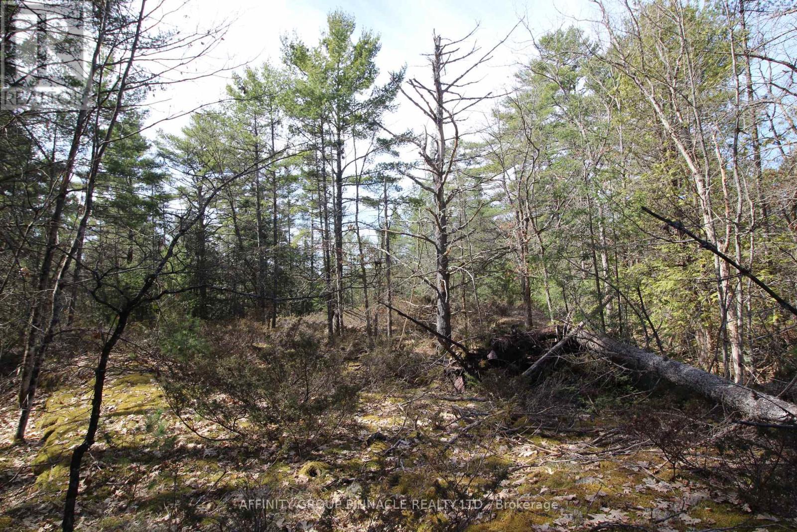 Lot 15 Concession 9, Trent Lakes, Ontario  K0L 1J0 - Photo 14 - X12112195