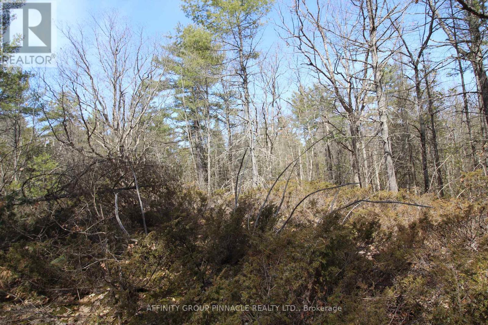 Lot 15 Concession 9, Trent Lakes, Ontario  K0L 1J0 - Photo 15 - X12112195
