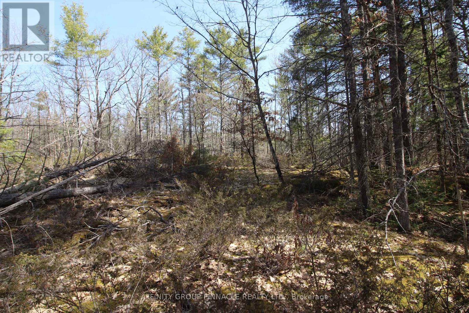 Lot 15 Concession 9, Trent Lakes, Ontario  K0L 1J0 - Photo 2 - X12112195