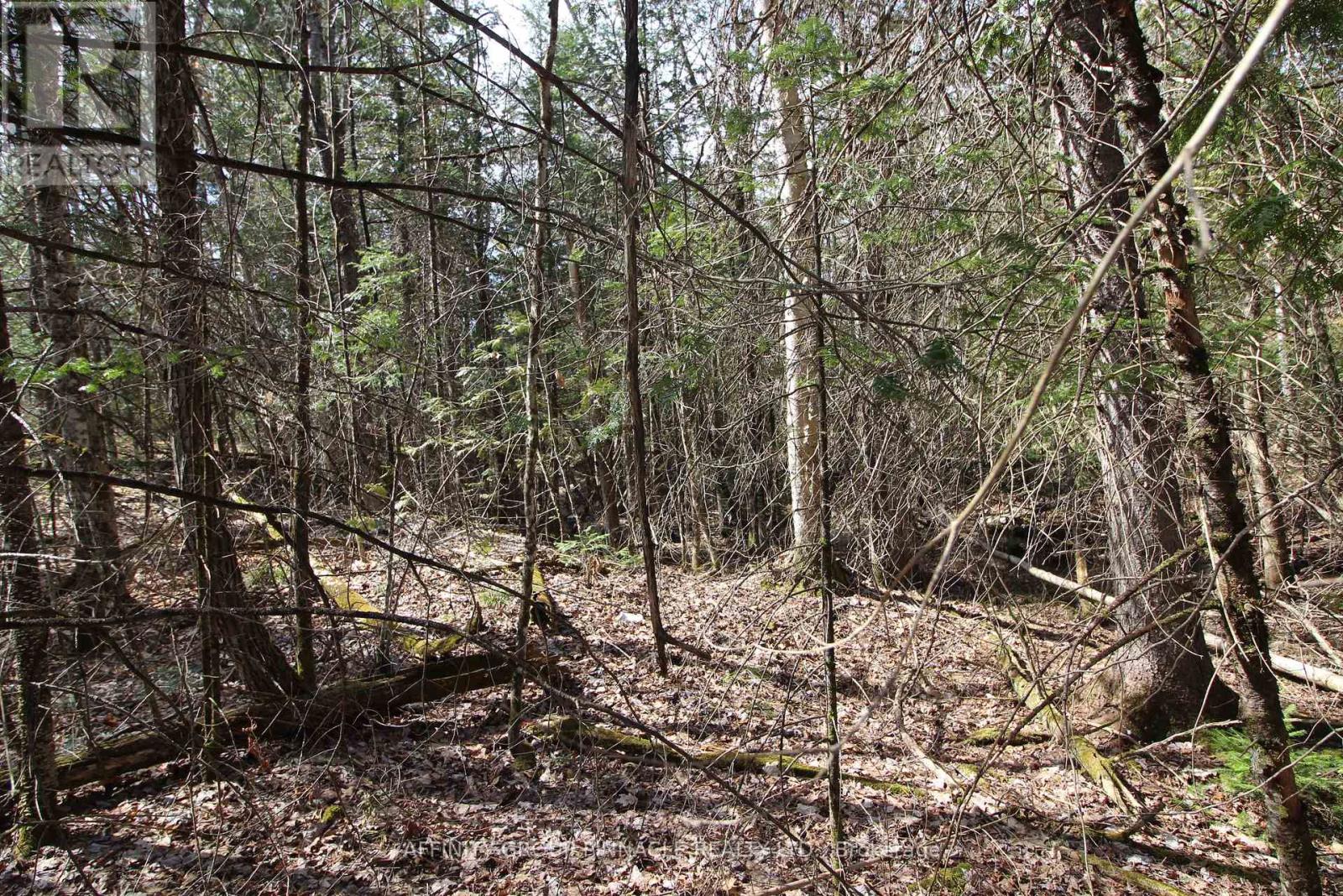 Lot 15 Concession 9, Trent Lakes, Ontario  K0L 1J0 - Photo 3 - X12112195
