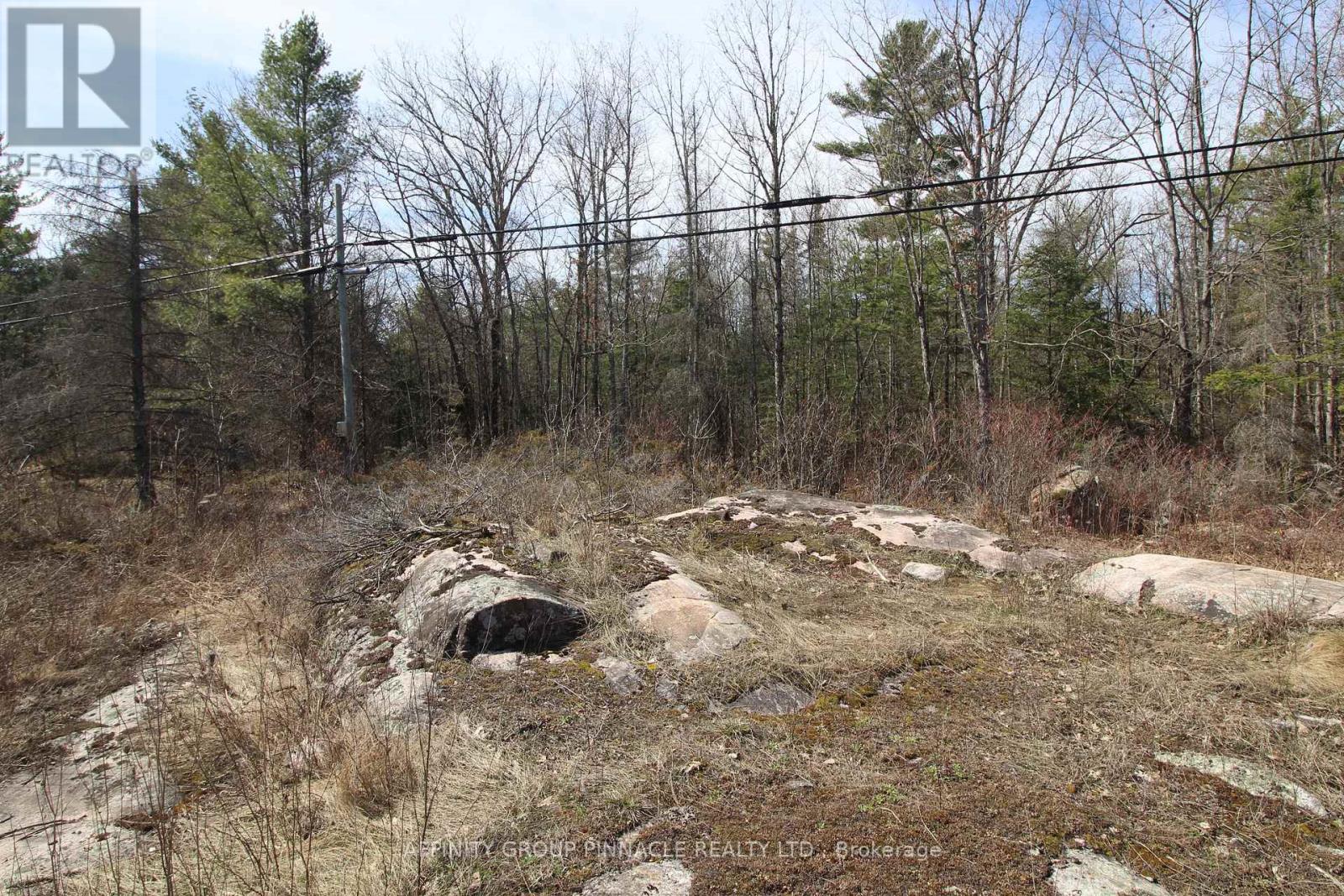 Lot 15 Concession 9, Trent Lakes, Ontario  K0L 1J0 - Photo 5 - X12112195