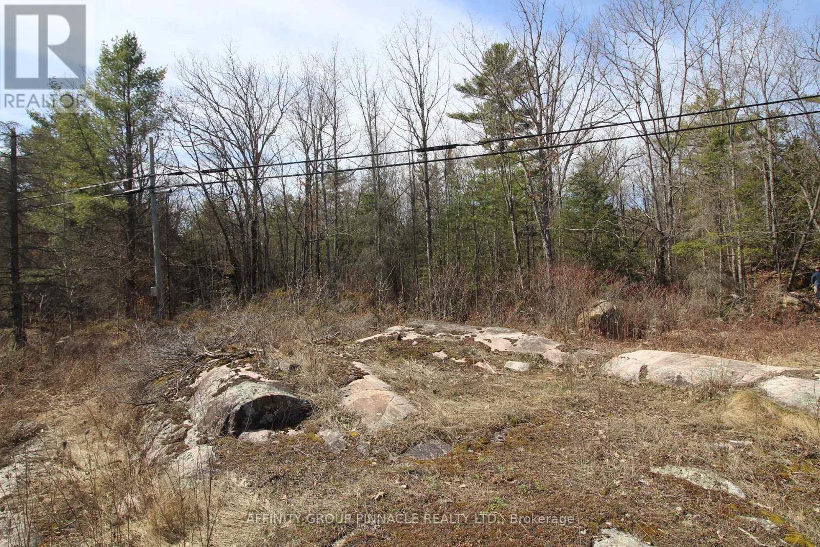 Lot 15 Concession 9, Trent Lakes, Ontario  K0L 1J0 - Photo 6 - X12112195