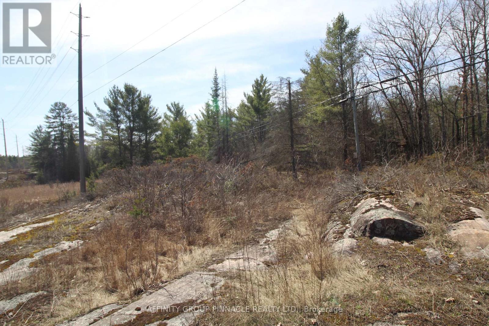 Lot 15 Concession 9, Trent Lakes, Ontario  K0L 1J0 - Photo 7 - X12112195