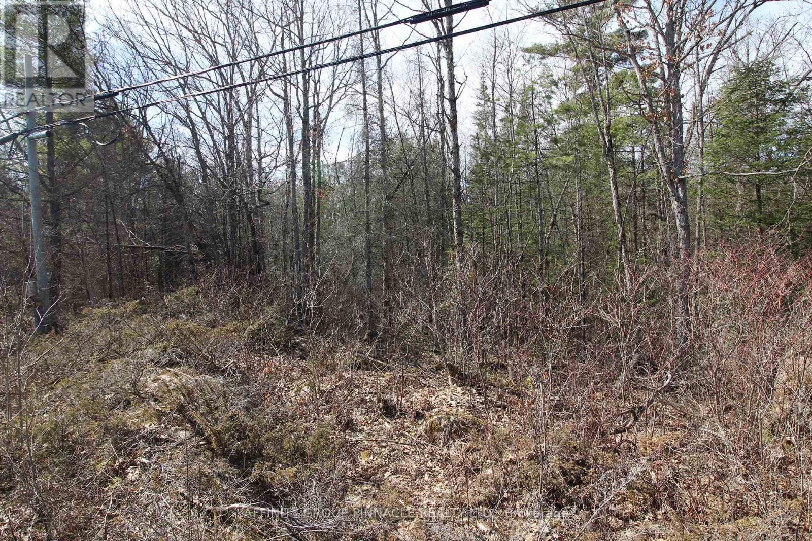 Lot 15 Concession 9, Trent Lakes, Ontario  K0L 1J0 - Photo 8 - X12112195