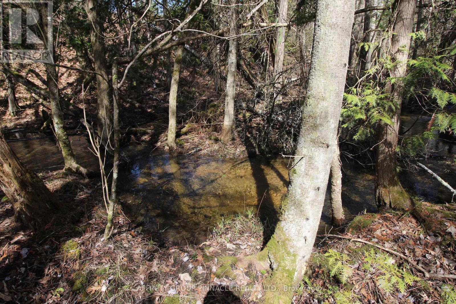 Lot 15 Concession 9, Trent Lakes, Ontario  K0L 1J0 - Photo 9 - X12112195