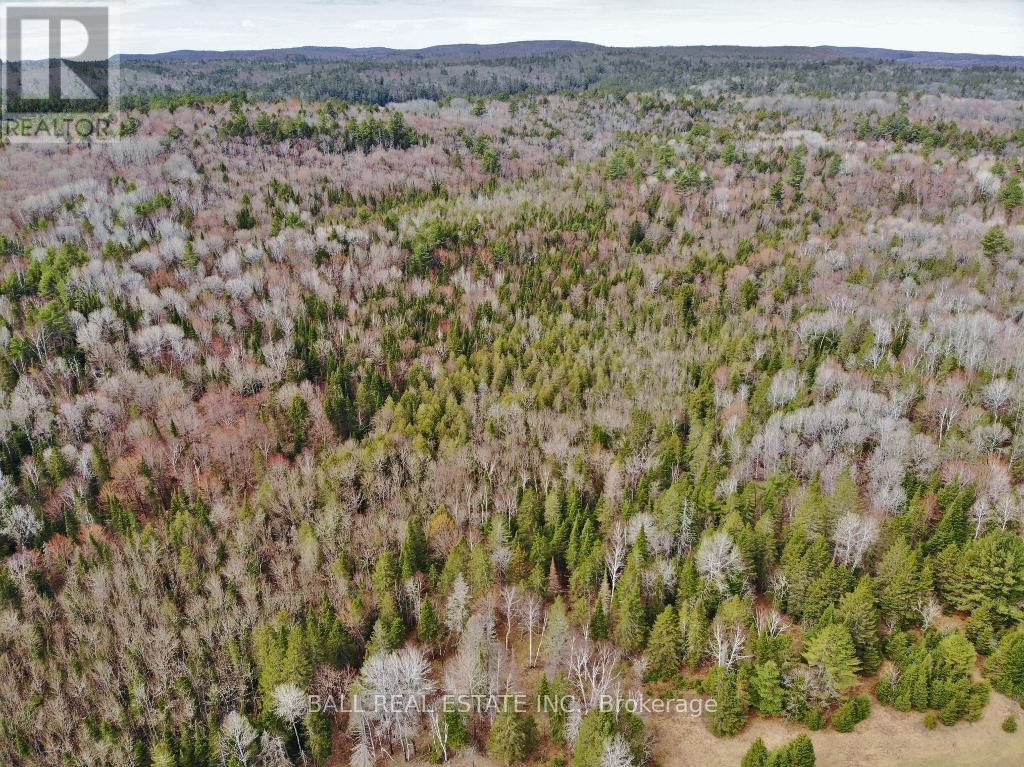 564 Mayo Lake Road, Carlow/mayo (Mayo Ward), Ontario  K0L 2M0 - Photo 7 - X12112815