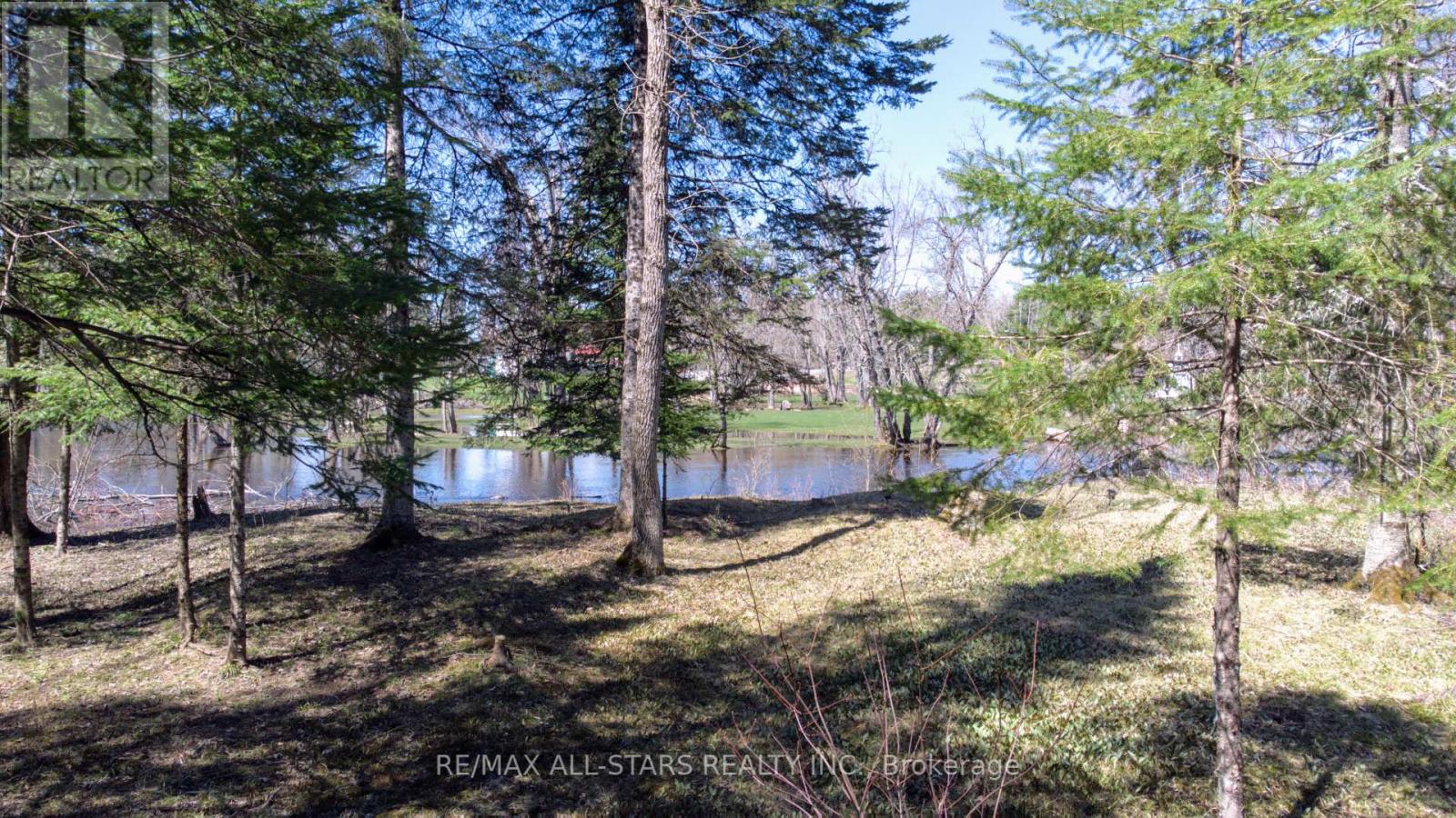 161 Mcfadden Road, North Kawartha, Ontario  K0L 1A0 - Photo 28 - X12113237