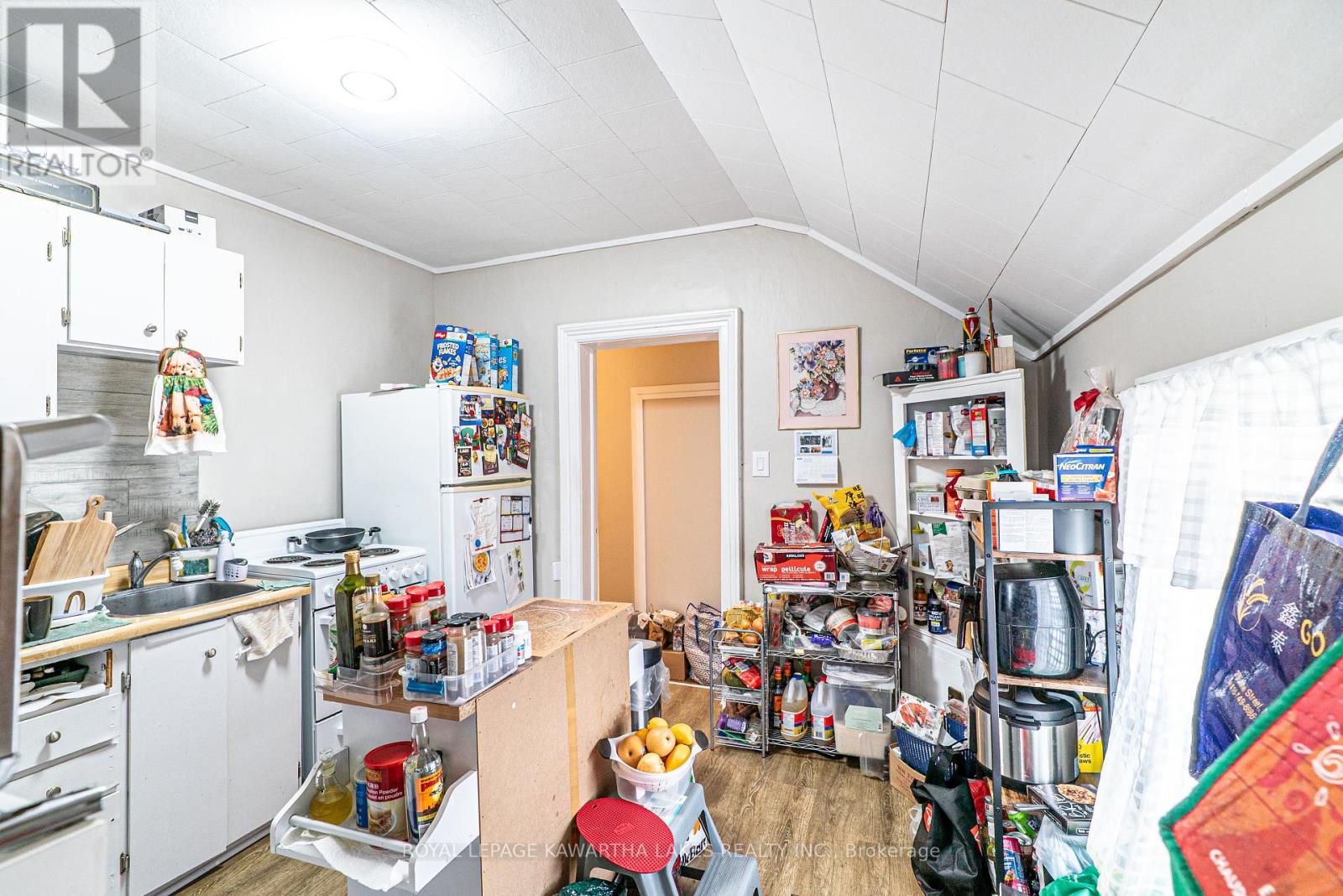 86 Lindsay Street S, Kawartha Lakes (Lindsay), Ontario  K9V 2M3 - Photo 11 - X12113382