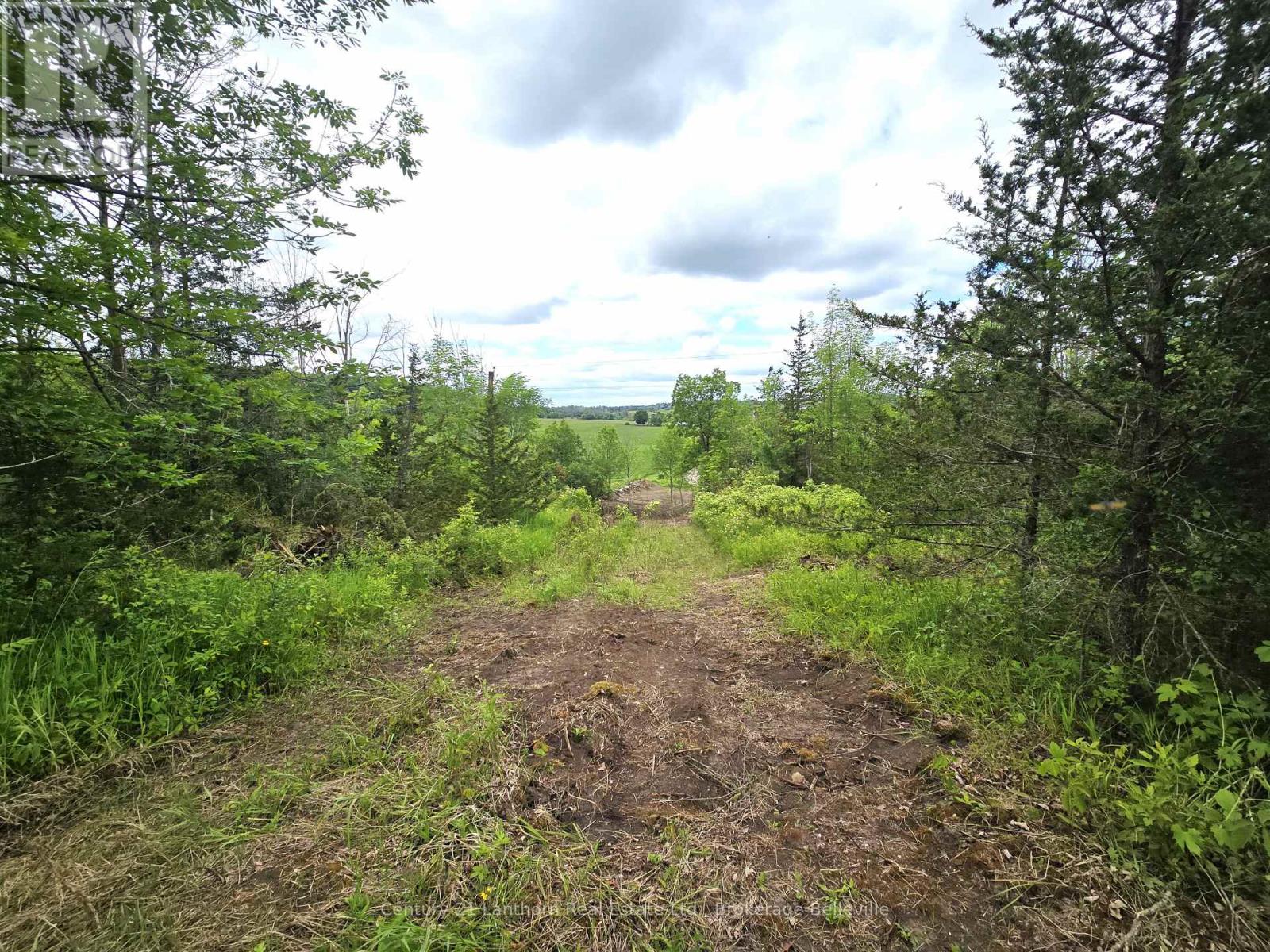 0 Devils Valley Road, Trent Hills, Ontario  K0L 1L0 - Photo 12 - X12114002