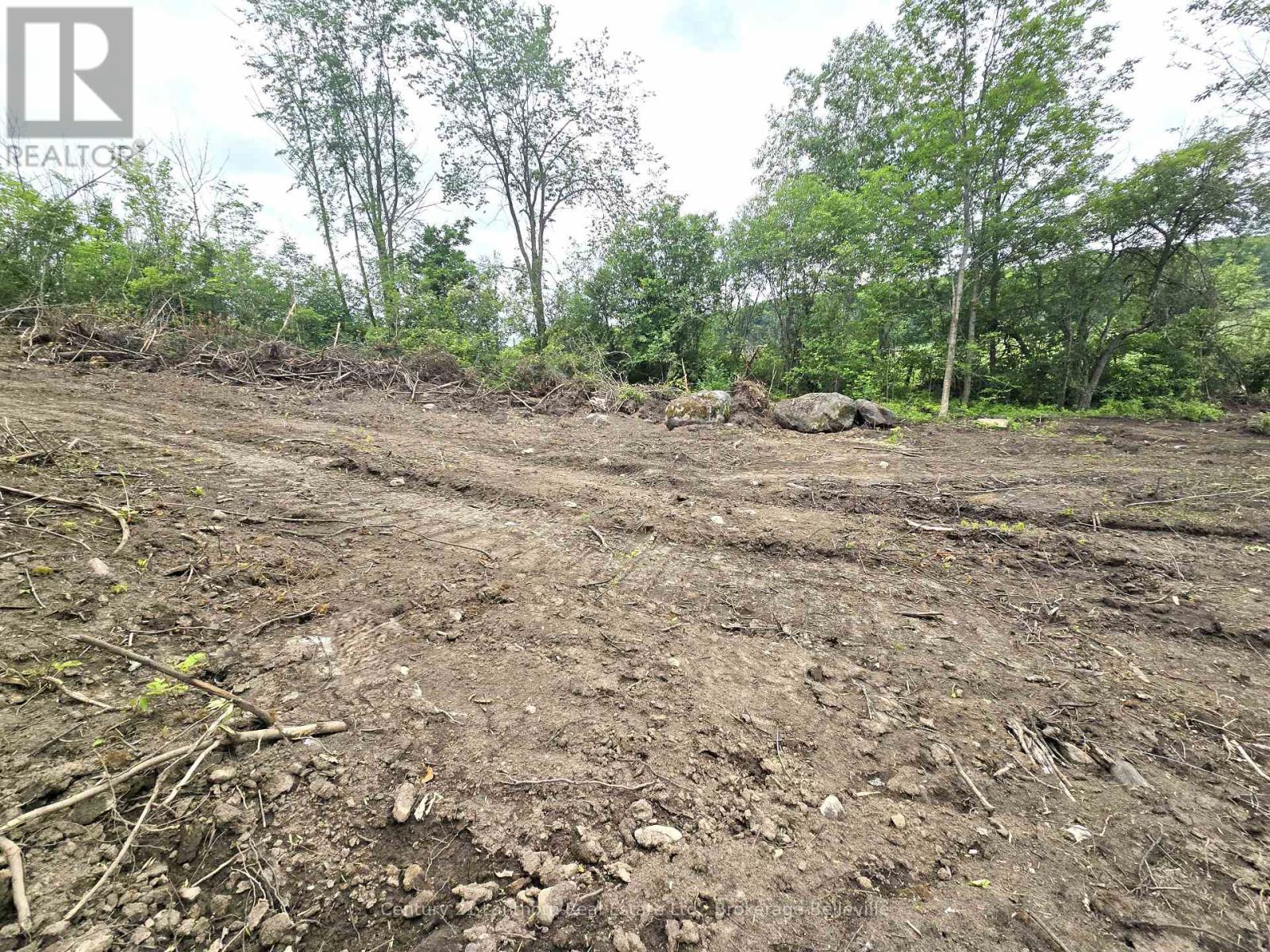 0 Devils Valley Road, Trent Hills, Ontario  K0L 1L0 - Photo 22 - X12114002