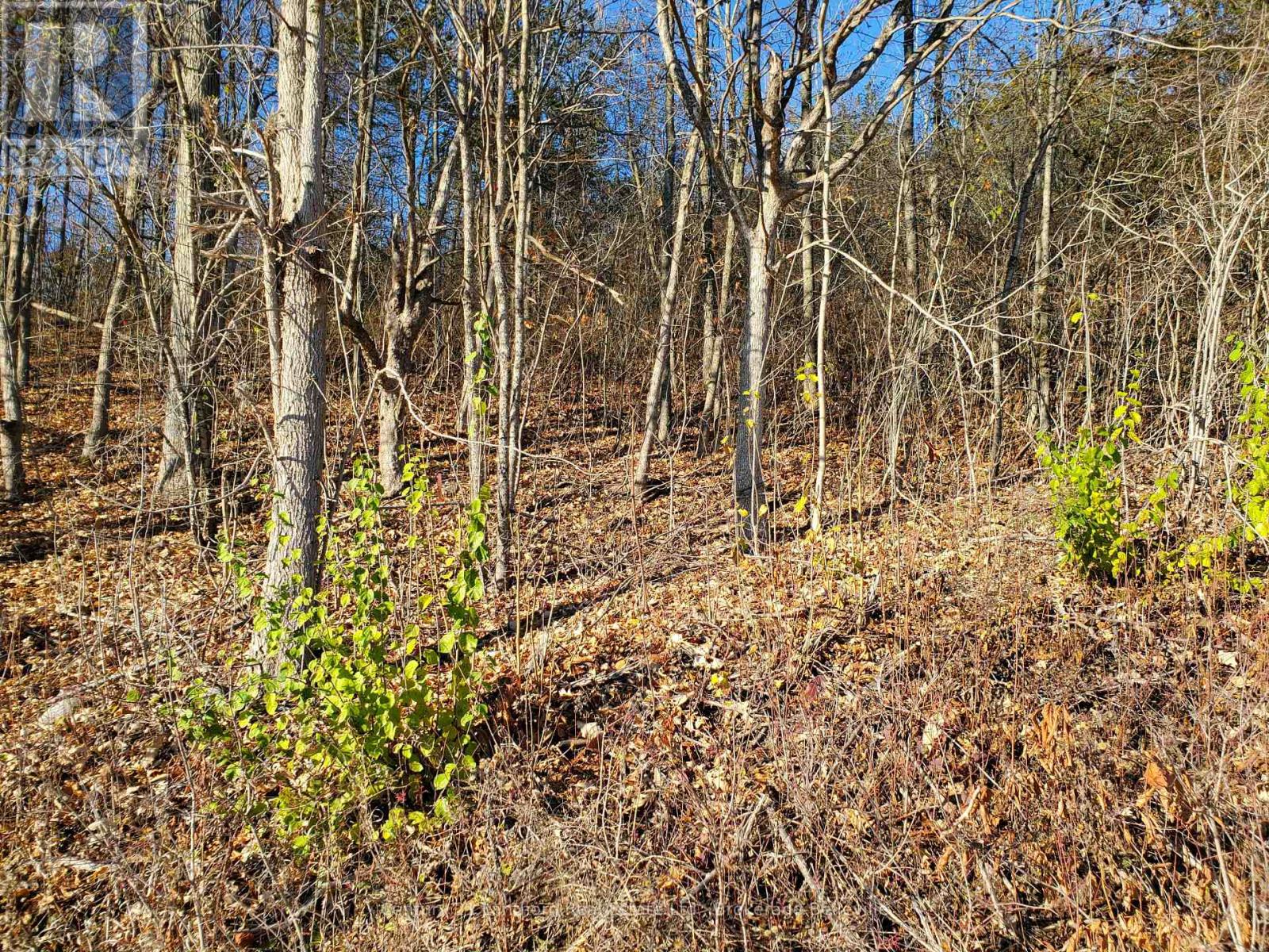 0 Devils Valley Road, Trent Hills, Ontario  K0L 1L0 - Photo 30 - X12114002