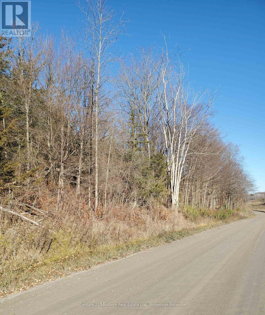 0 Devils Valley Road, Trent Hills, Ontario  K0L 1L0 - Photo 31 - X12114002