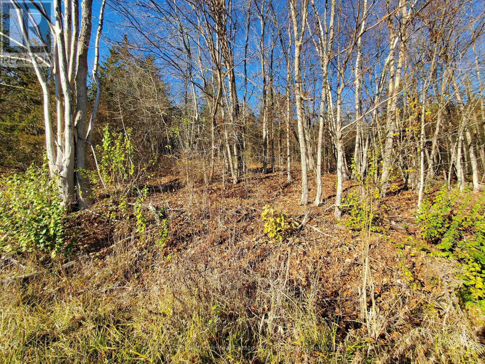 0 Devils Valley Road, Trent Hills, Ontario  K0L 1L0 - Photo 33 - X12114002