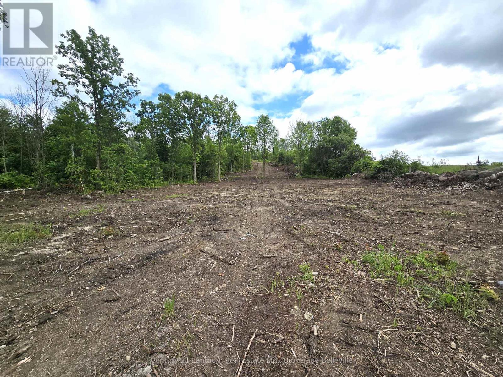 0 Devils Valley Road, Trent Hills, Ontario  K0L 1L0 - Photo 4 - X12114002