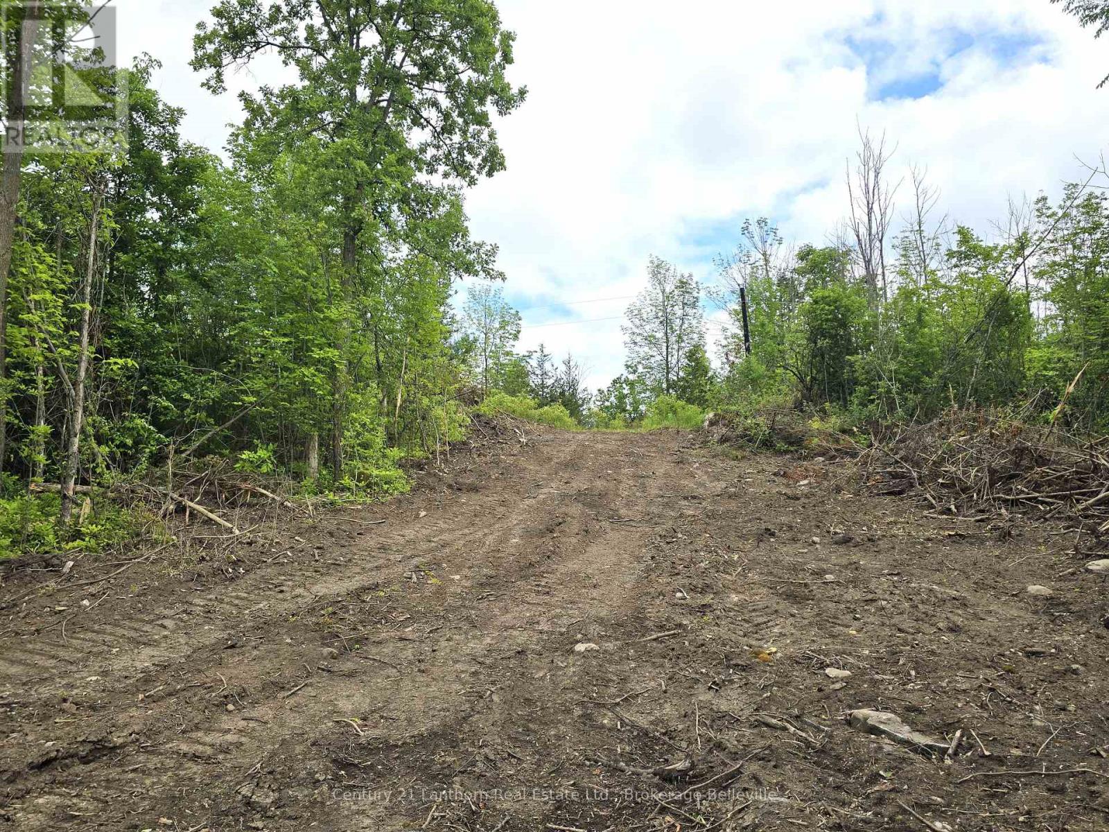 0 Devils Valley Road, Trent Hills, Ontario  K0L 1L0 - Photo 7 - X12114002