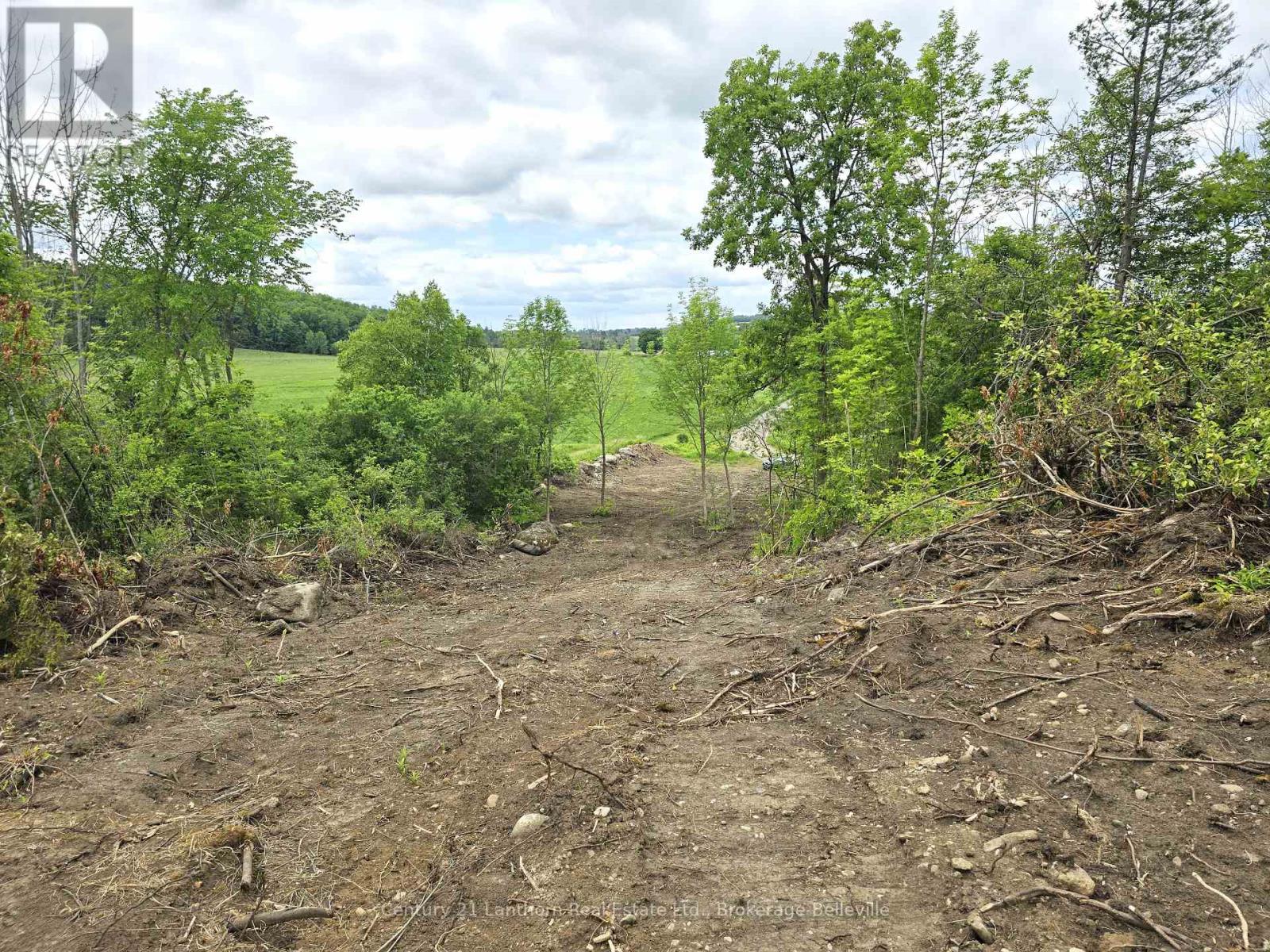 0 Devils Valley Road, Trent Hills, Ontario  K0L 1L0 - Photo 8 - X12114002