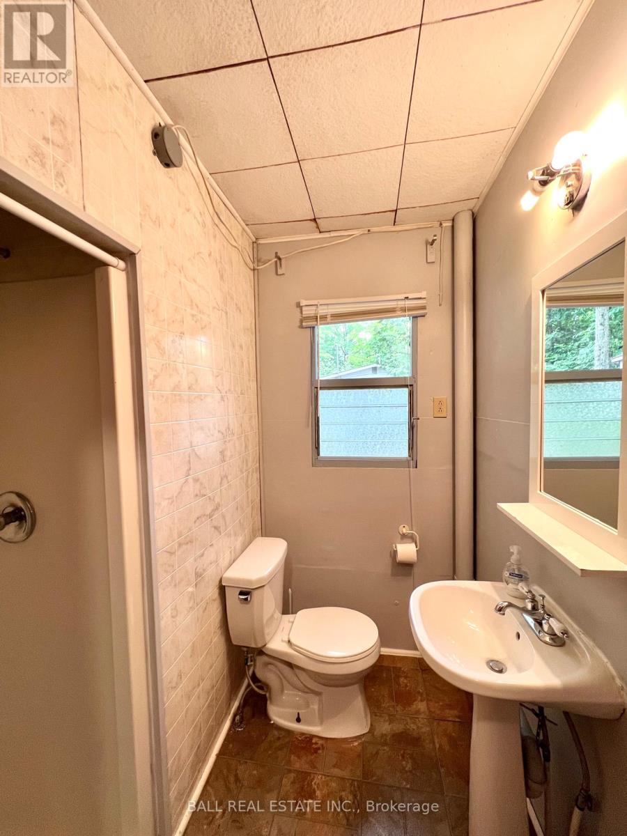 8 Fire Route 48a, Trent Lakes, Ontario  K0L 1J0 - Photo 19 - X12115079