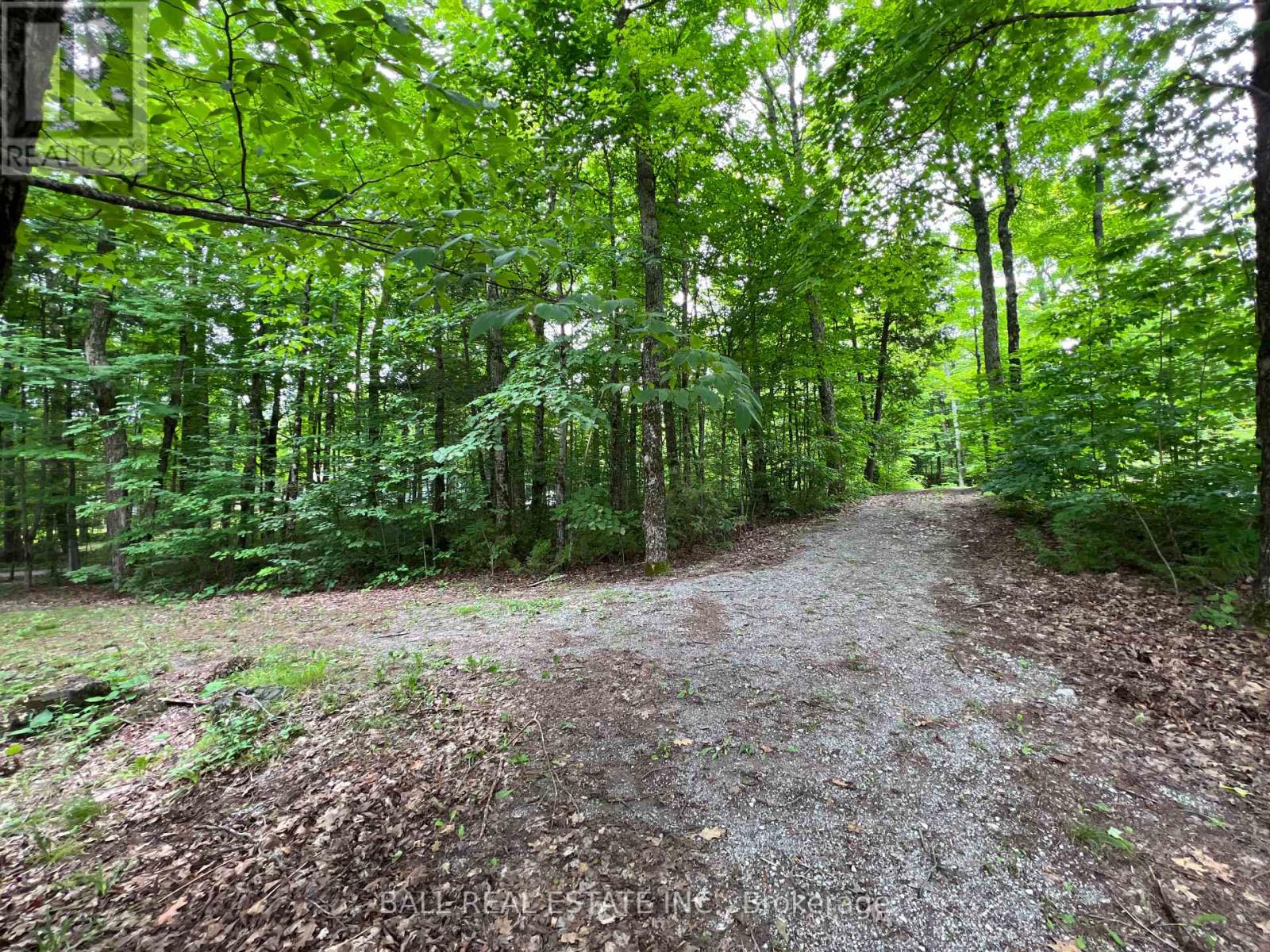 8 Fire Route 48a, Trent Lakes, Ontario  K0L 1J0 - Photo 33 - X12115079