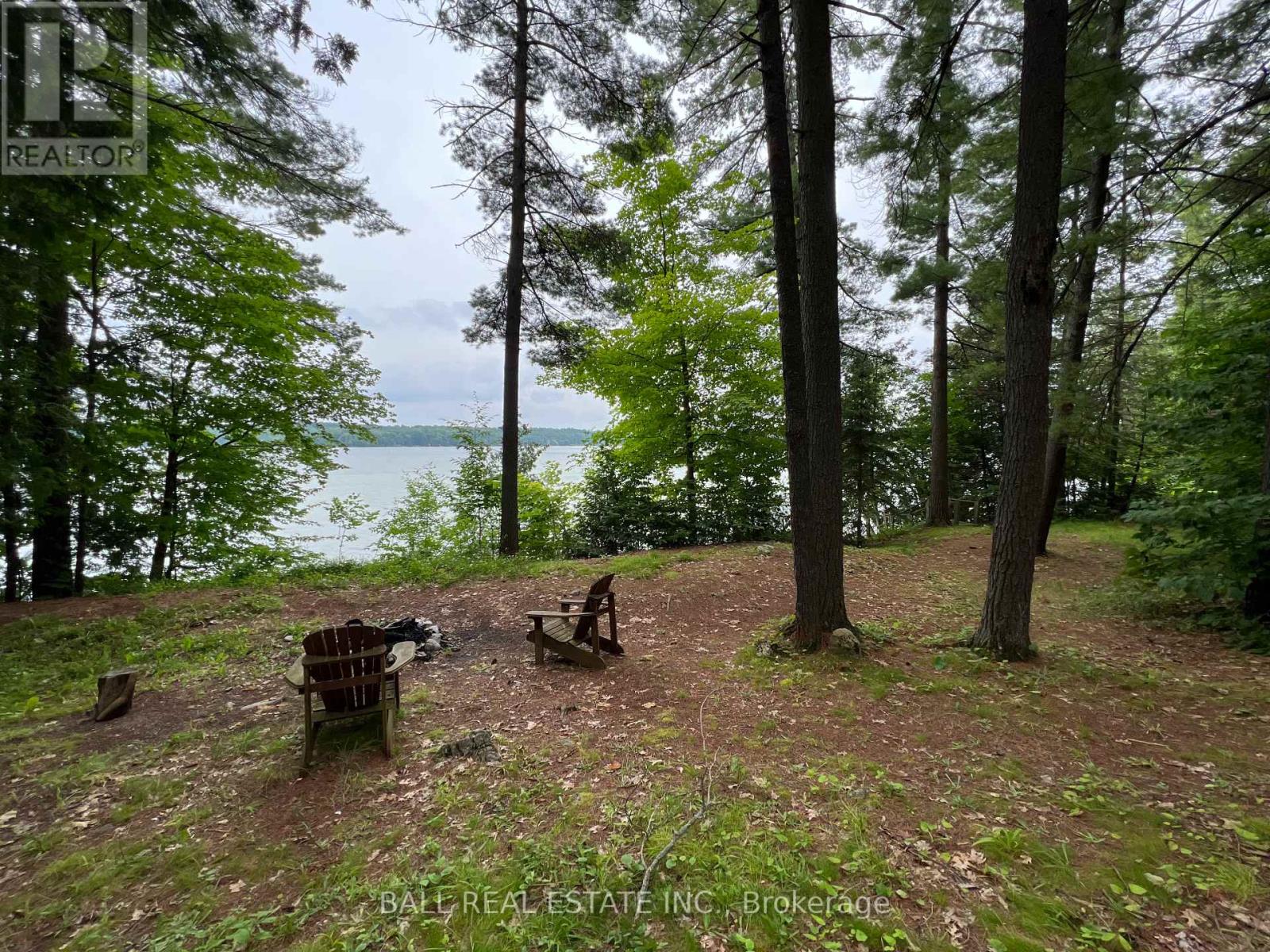 8 Fire Route 48a, Trent Lakes, Ontario  K0L 1J0 - Photo 4 - X12115079
