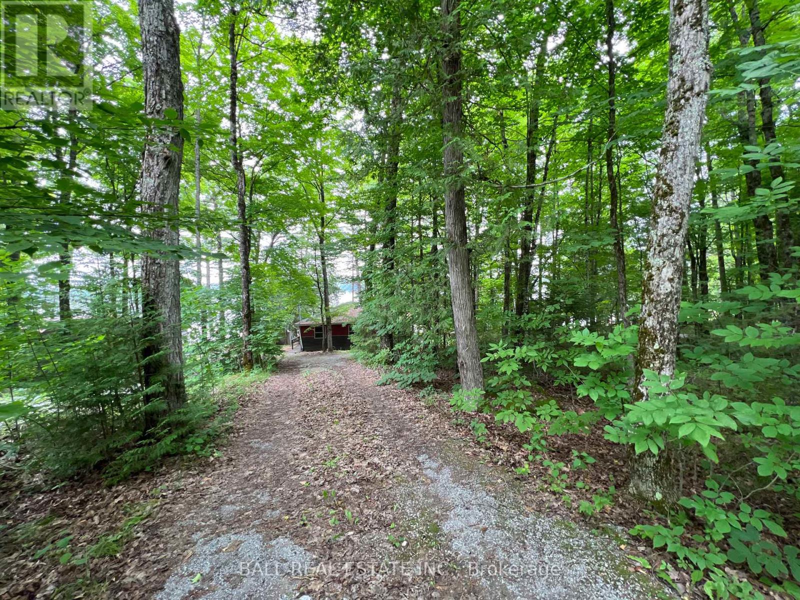 8 Fire Route 48a, Trent Lakes, Ontario  K0L 1J0 - Photo 5 - X12115079